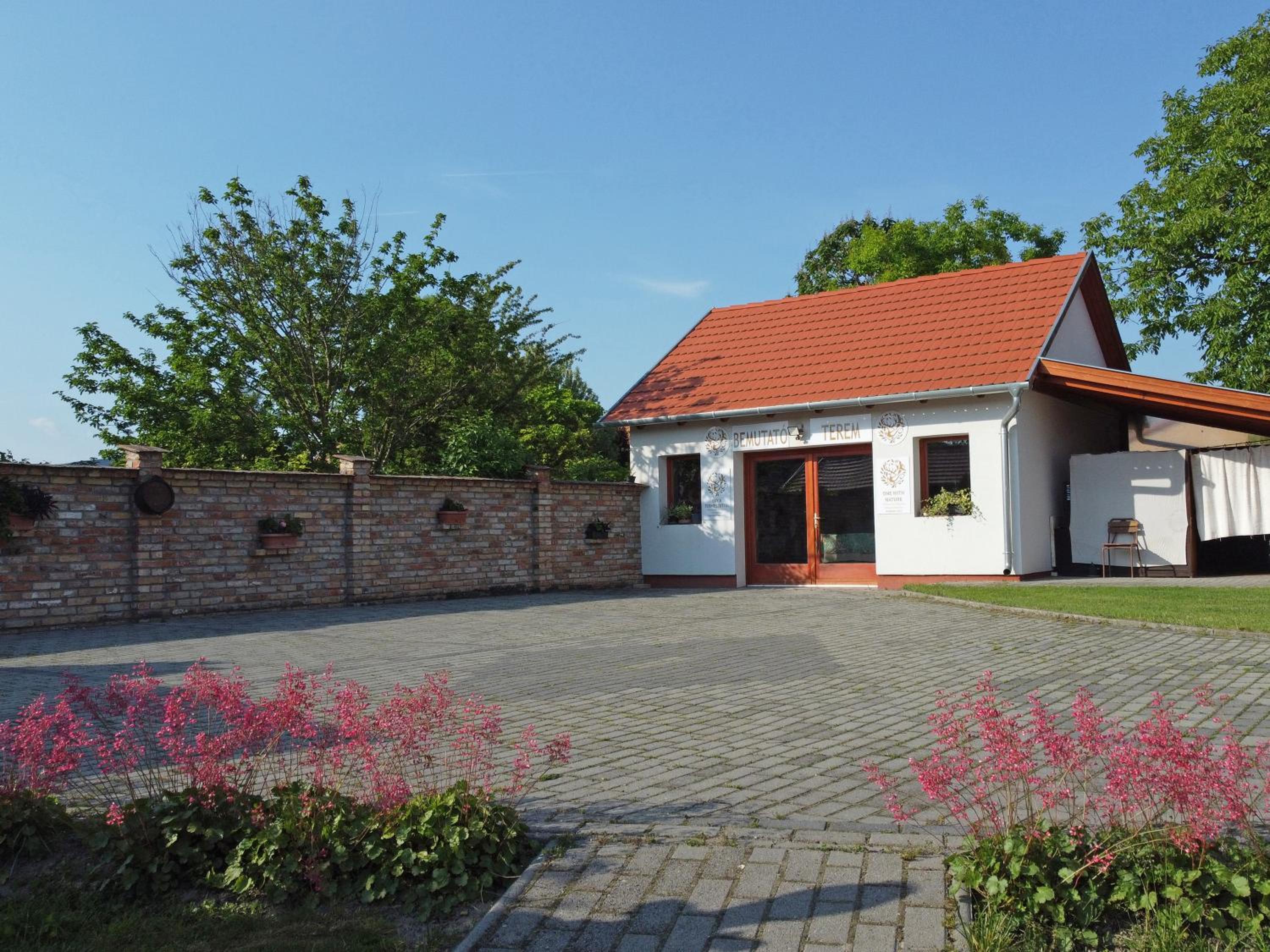 Photo 14