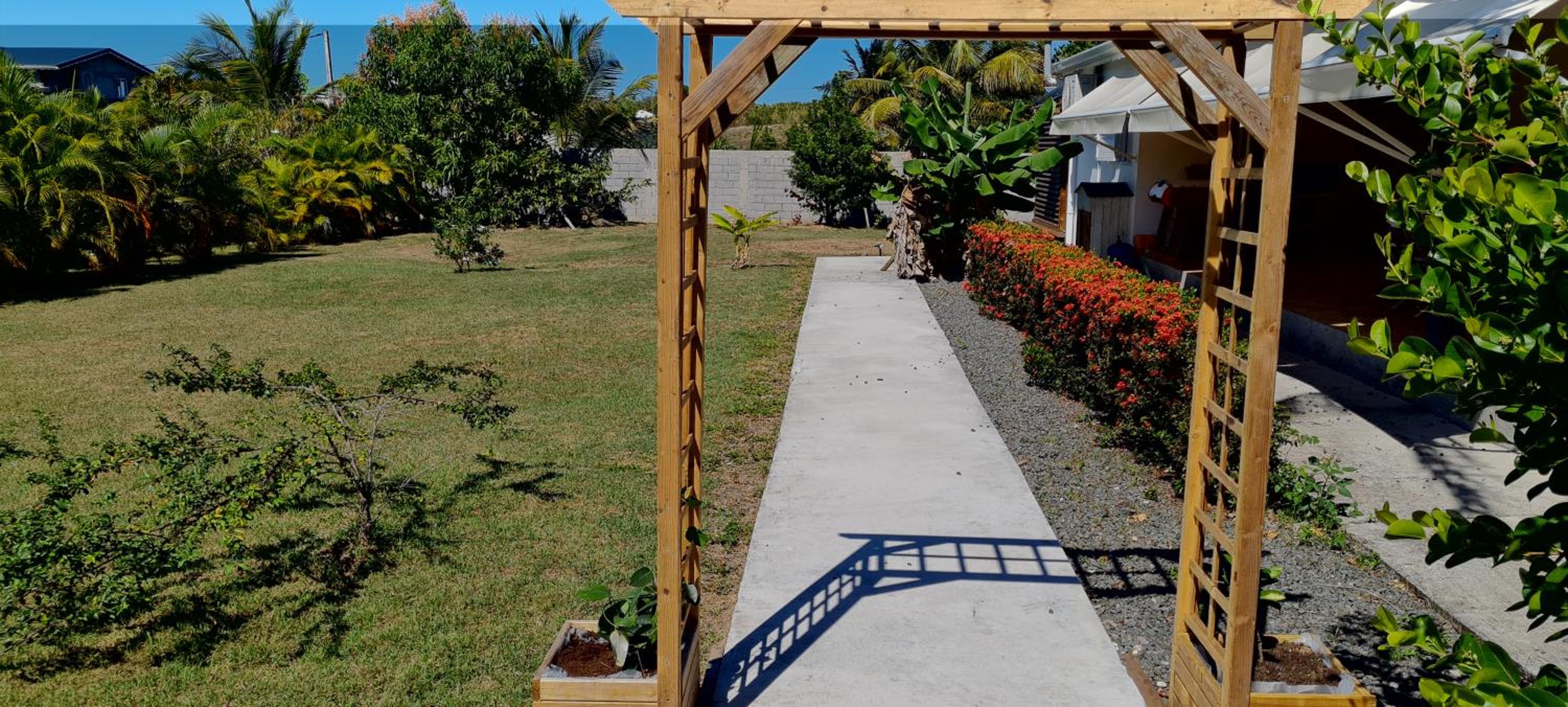 L'IXORA des îles view 2