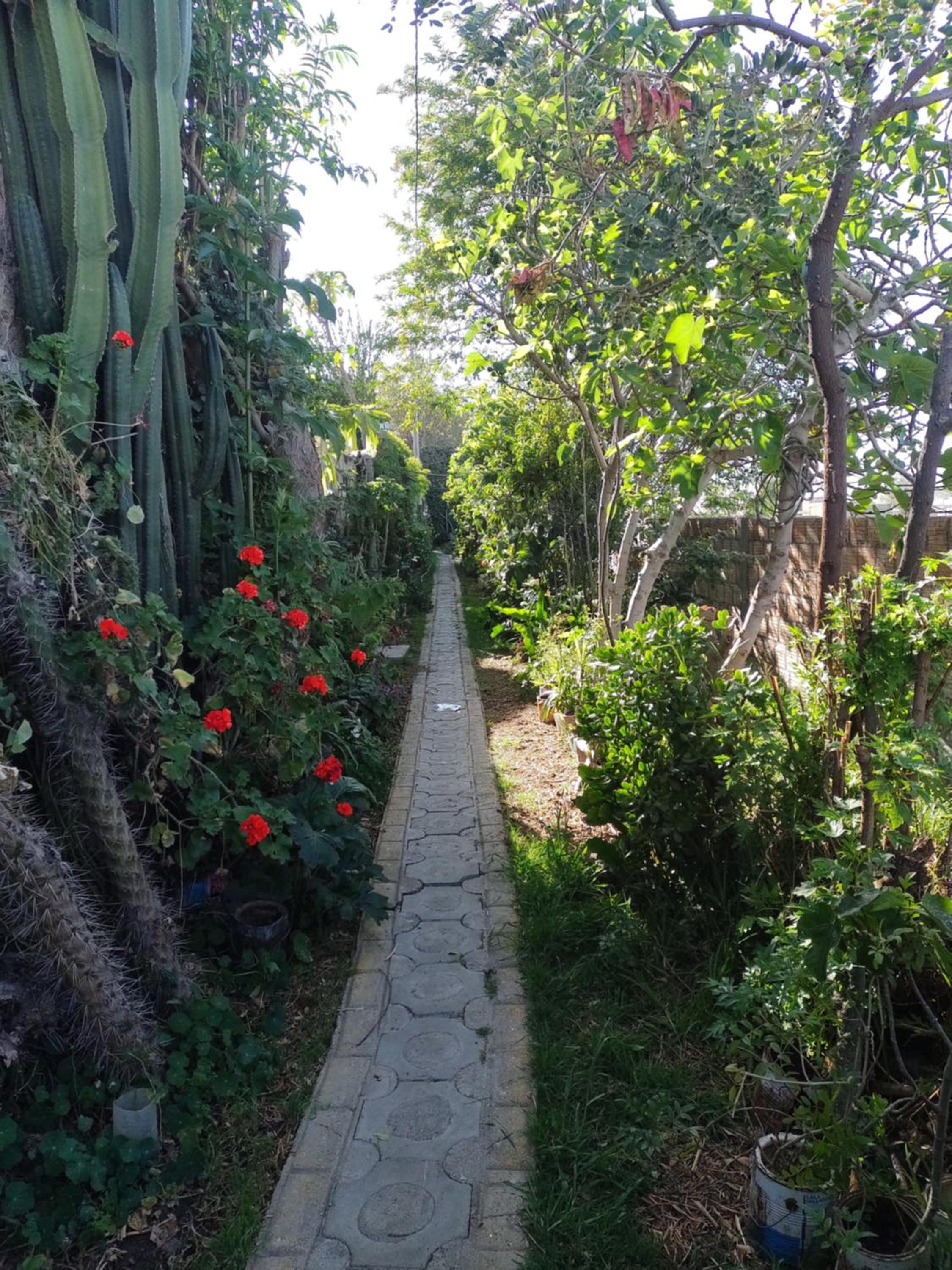 House garden airport