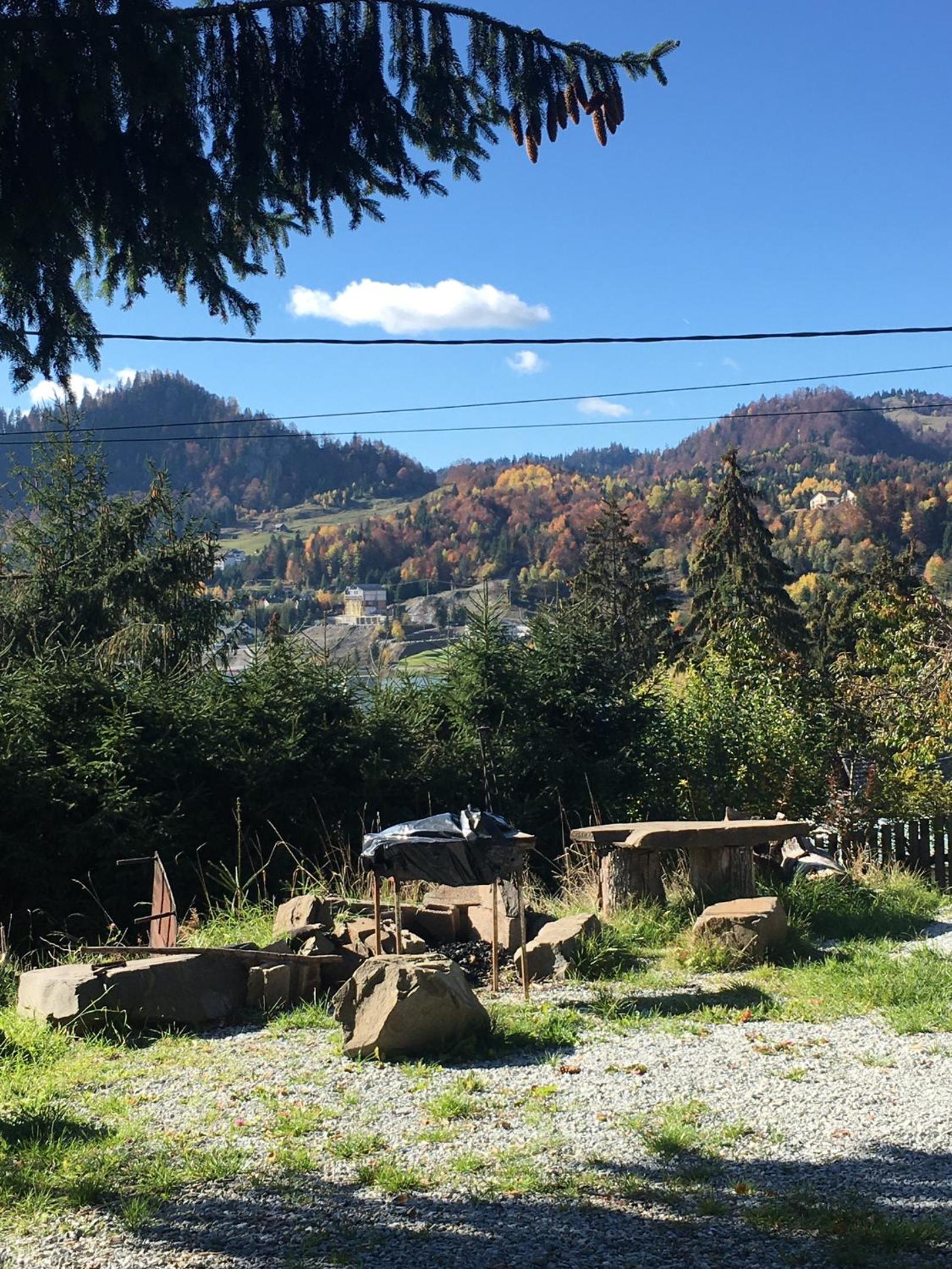 Casa dintre Brazi view 3