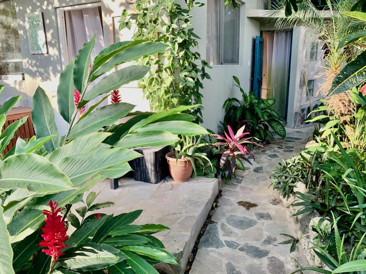 Cabarete Boutique Kite Hotel Garden Loft