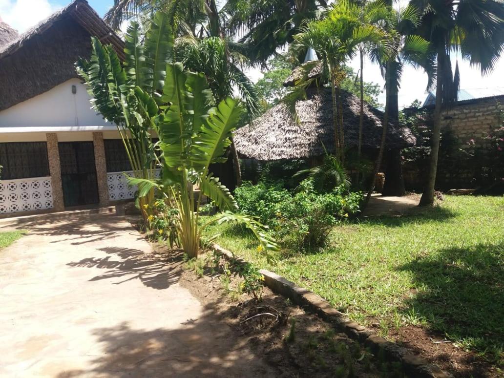 serene home in DIani view 4