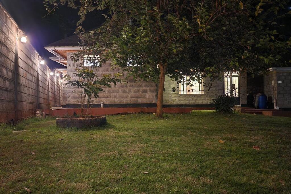Ace House view 5