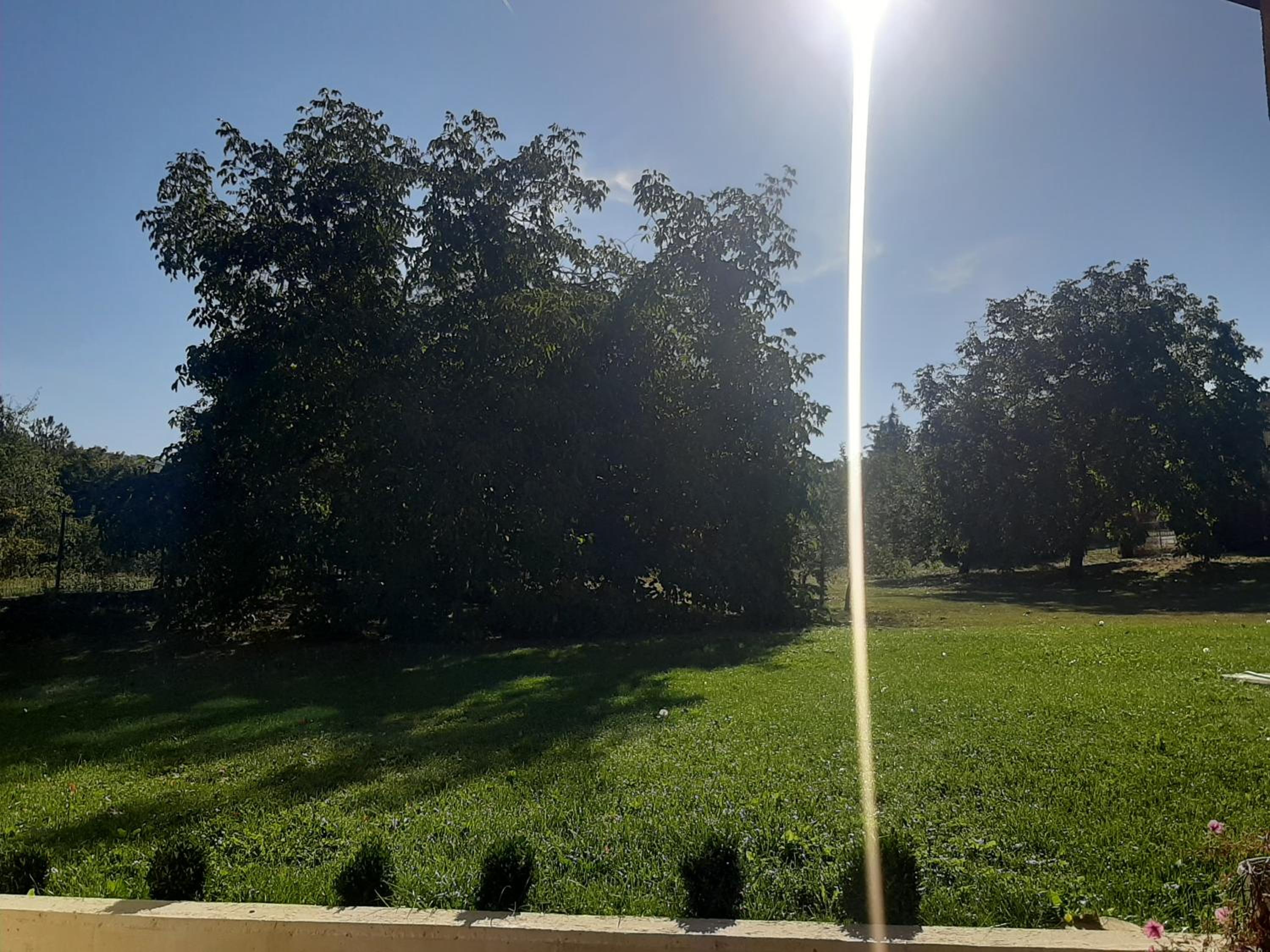 Apartman Marin