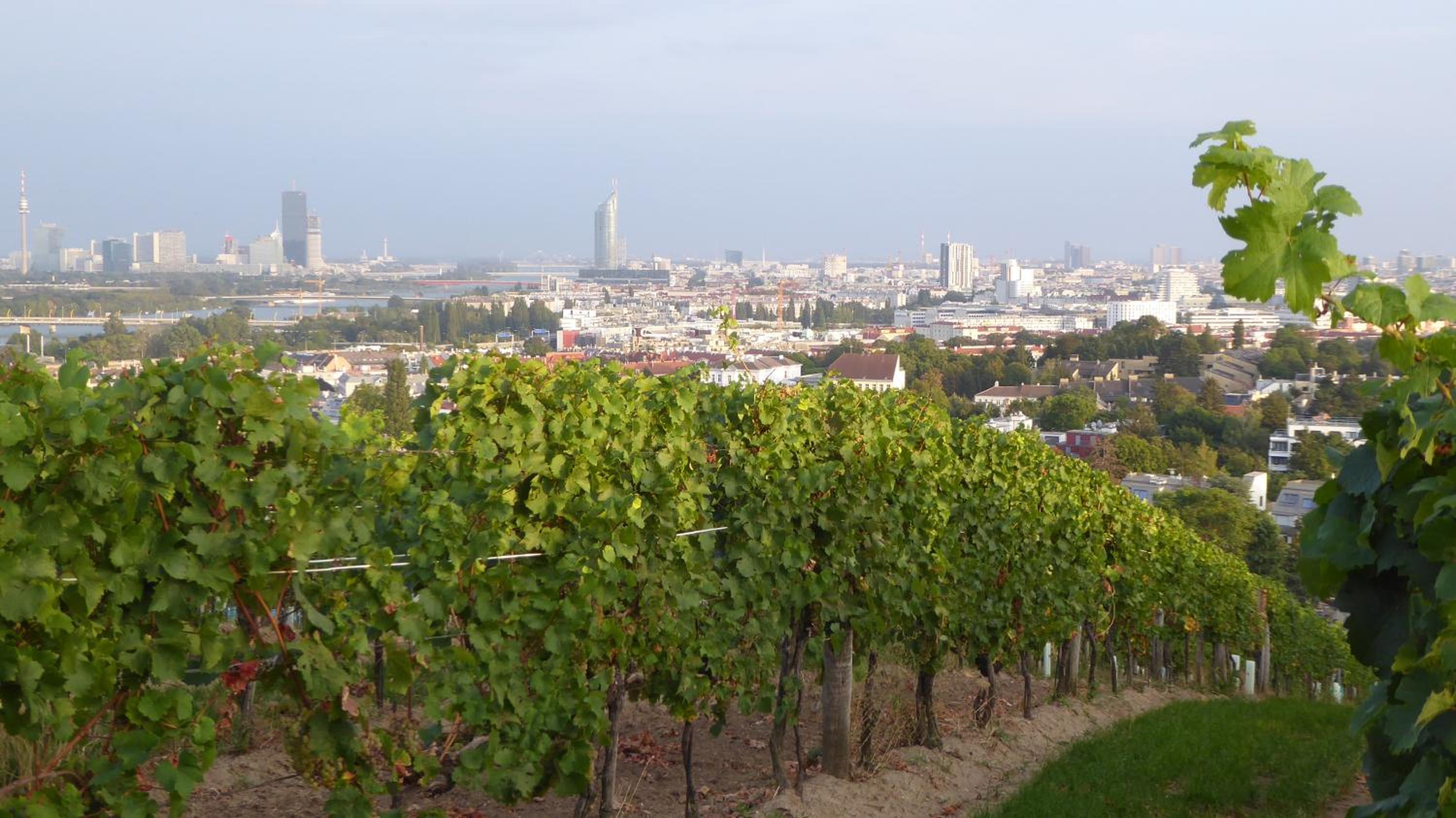 Wohnen im schönsten Viertel Wiens