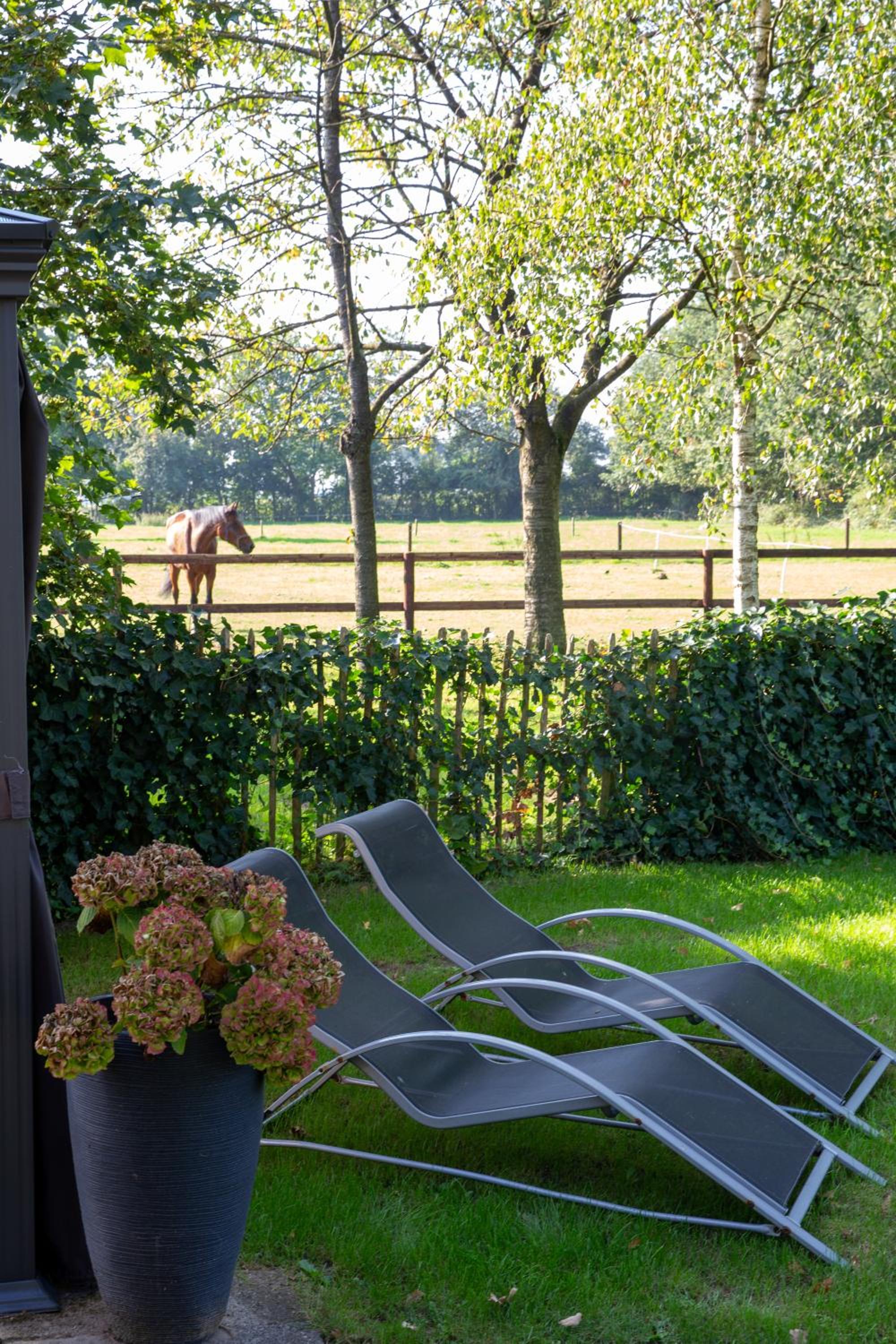 Logies-Spier - Property Image 7