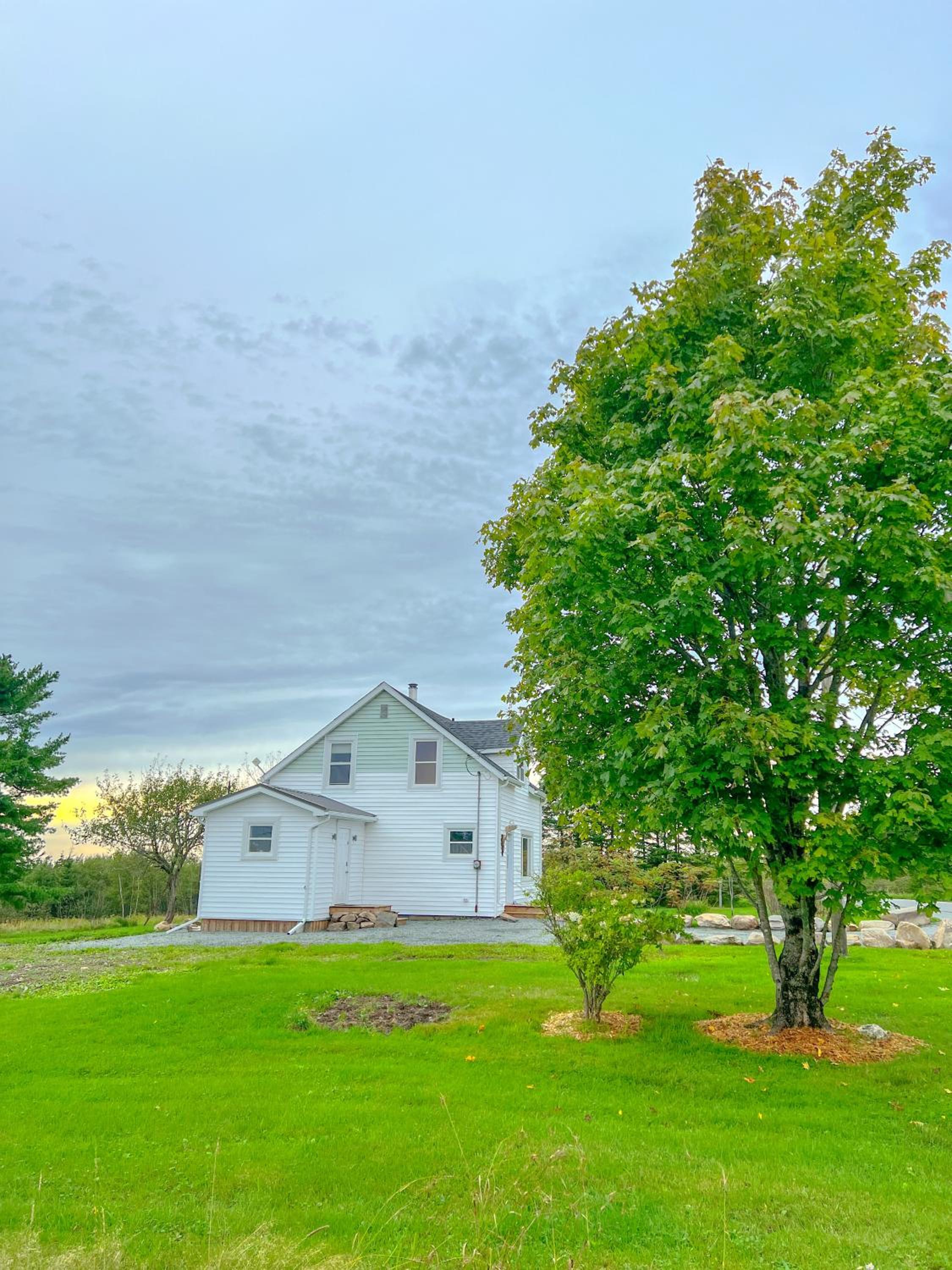 Moose River Cottage