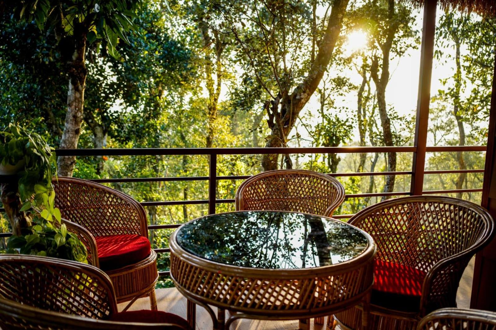 Coffee Cradle Wayanad Luxuorios Private Tree House - Inside 2 Acre Coffee Plantation view 4