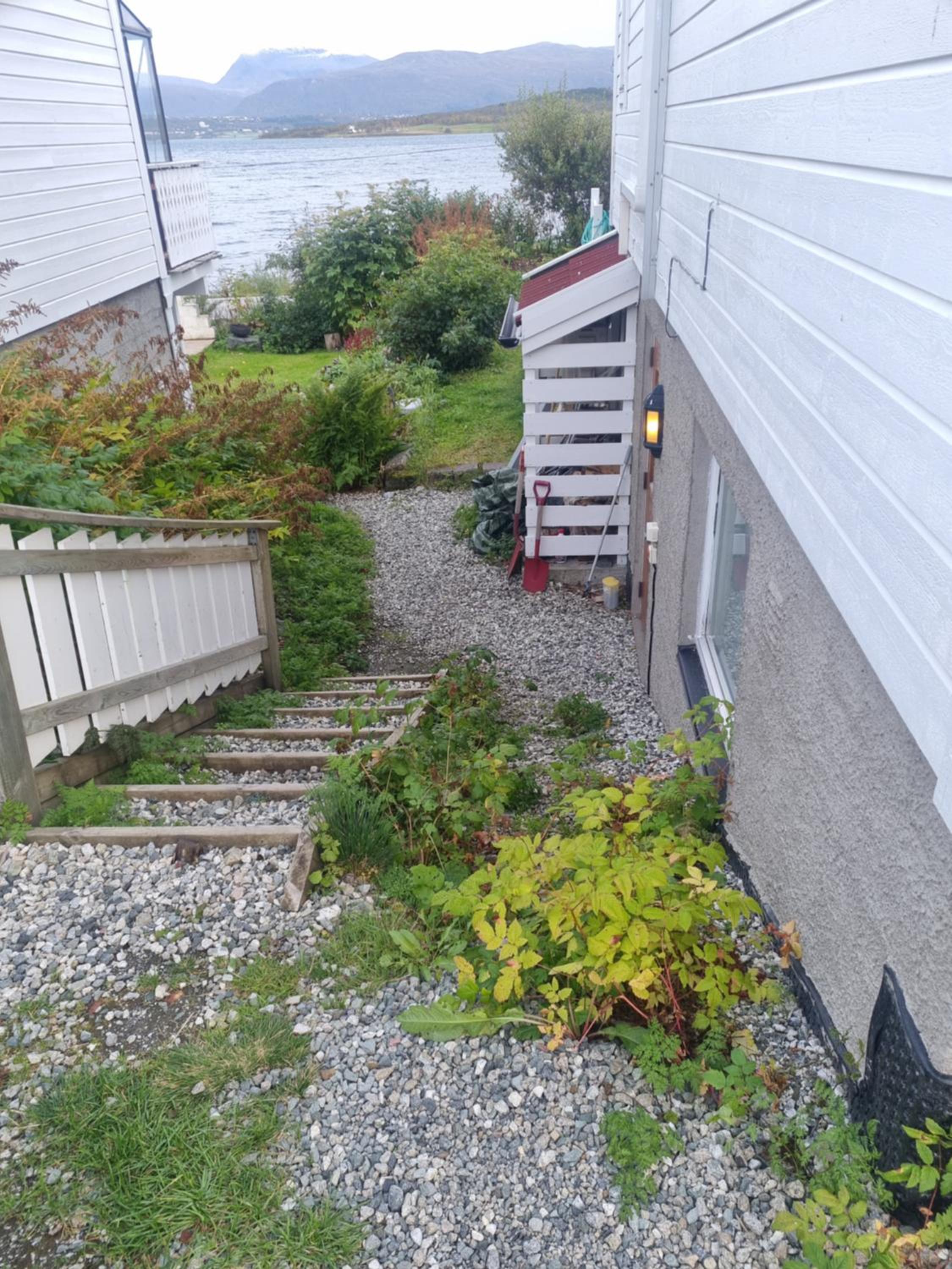 Photo 21