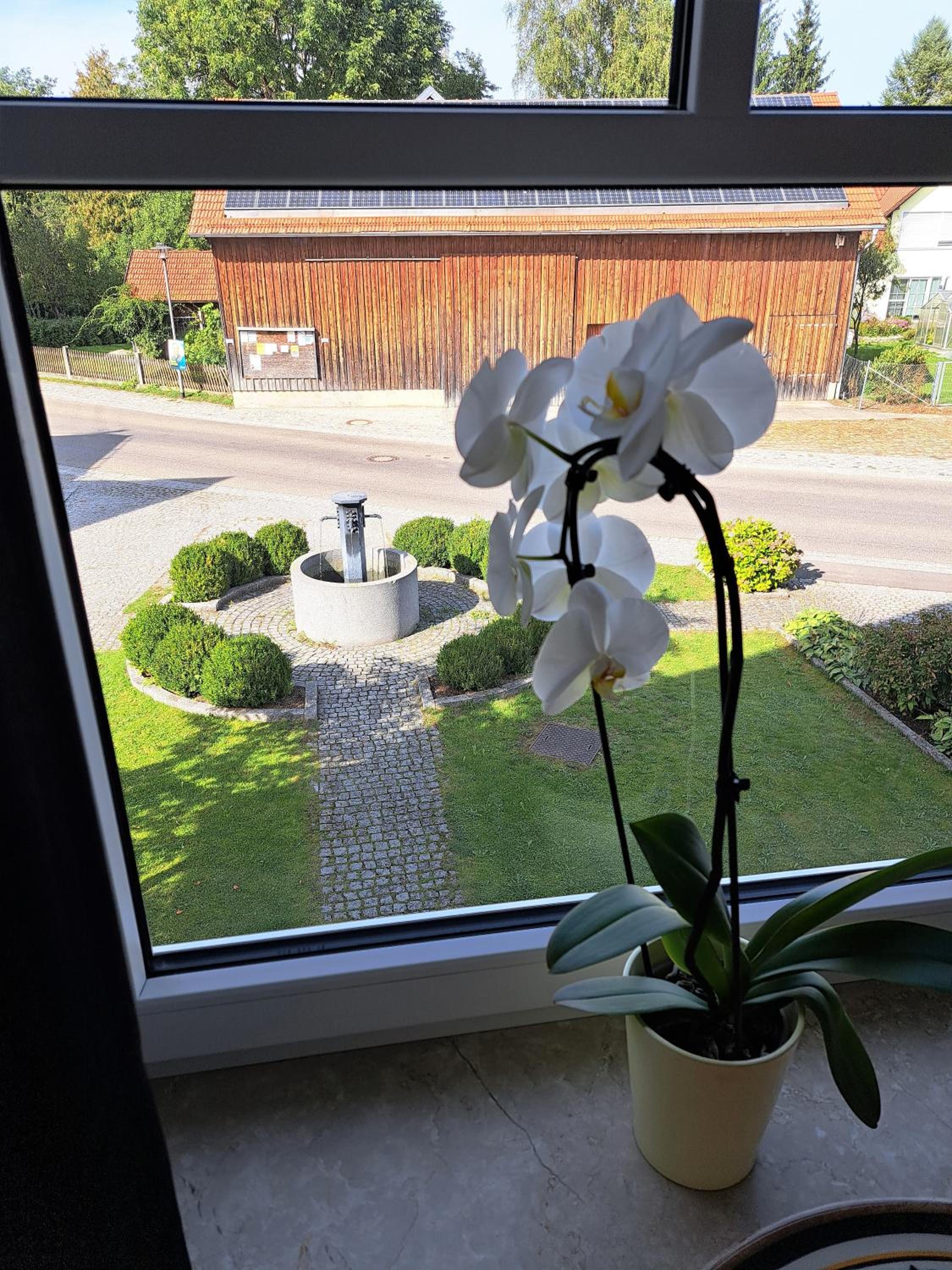 Design Apartment an der Via Claudia