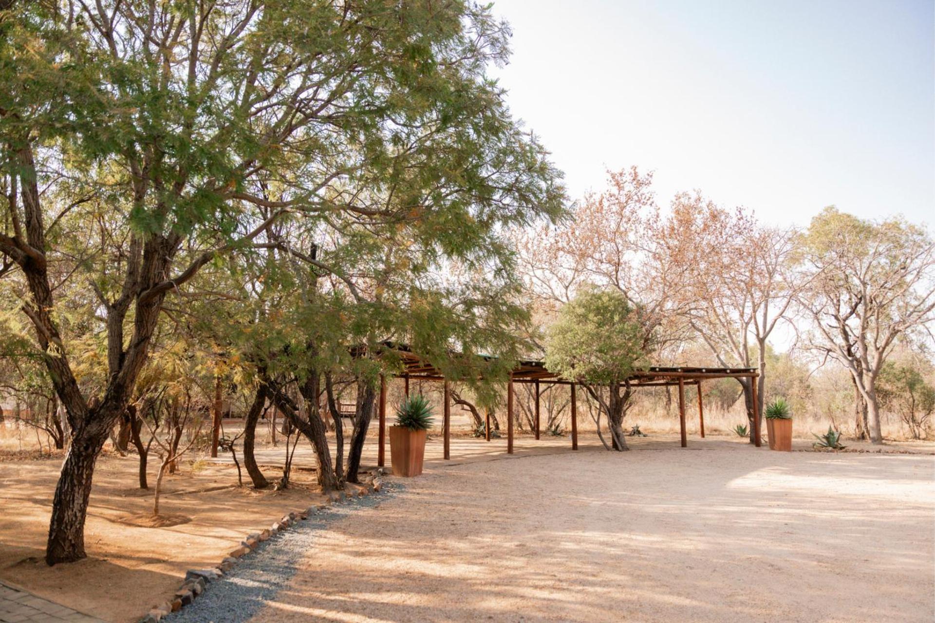 Zebula Bush Lodge 118