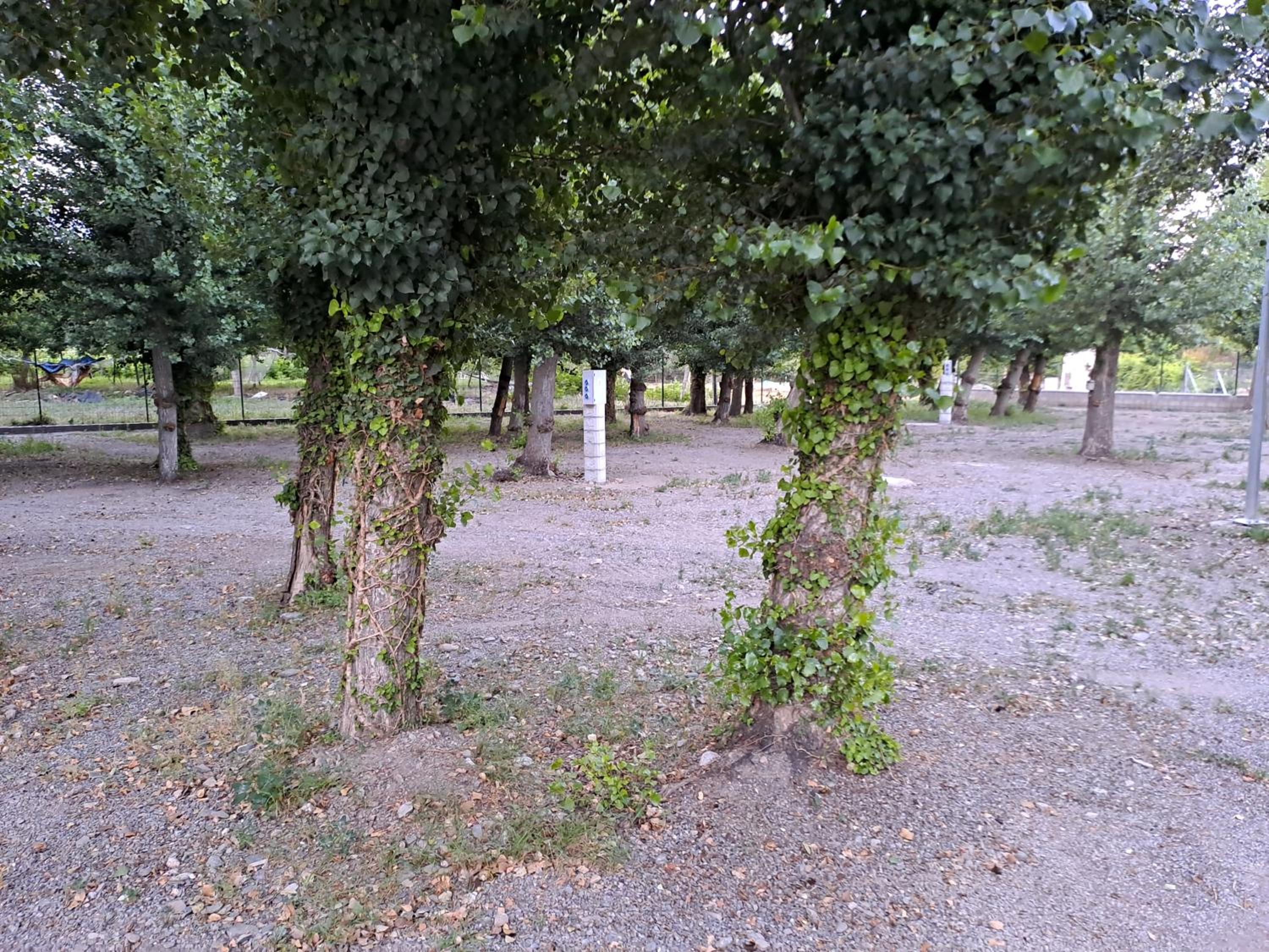 Camping Valle del Andarax