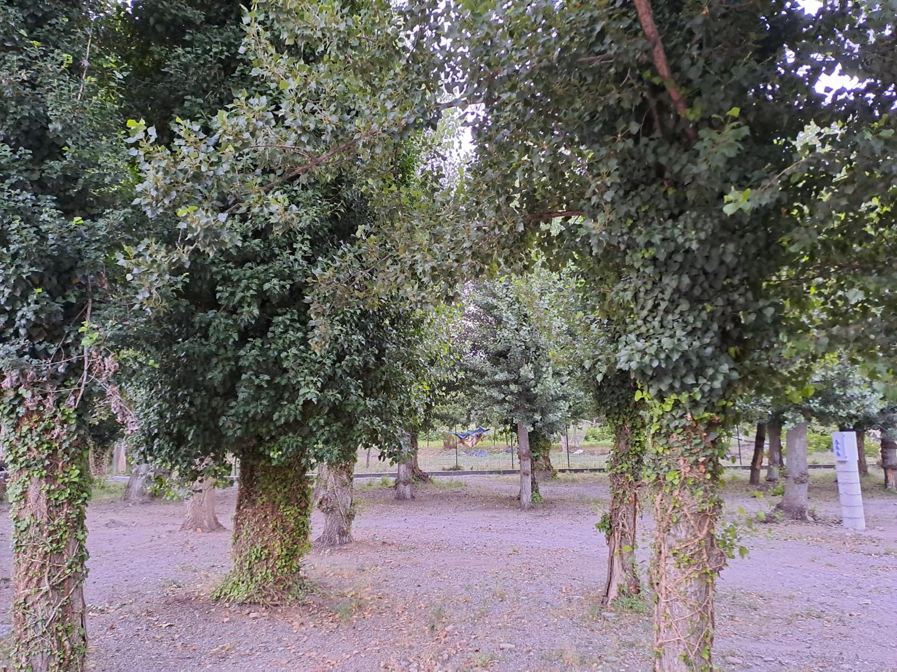 Camping Valle del Andarax