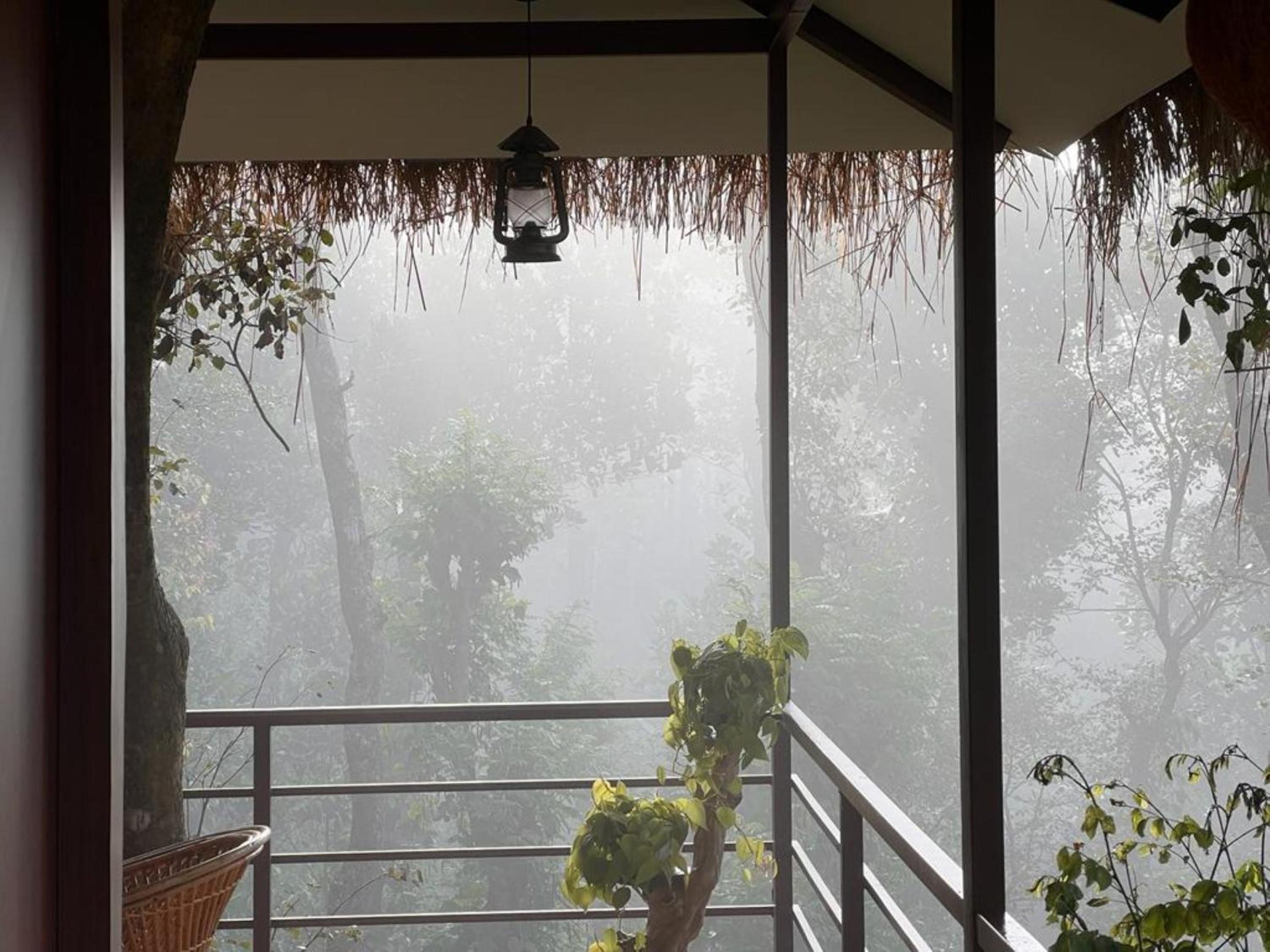 Coffee Cradle Wayanad Luxuorios Private Tree House - Inside 2 Acre Coffee Plantation view 2