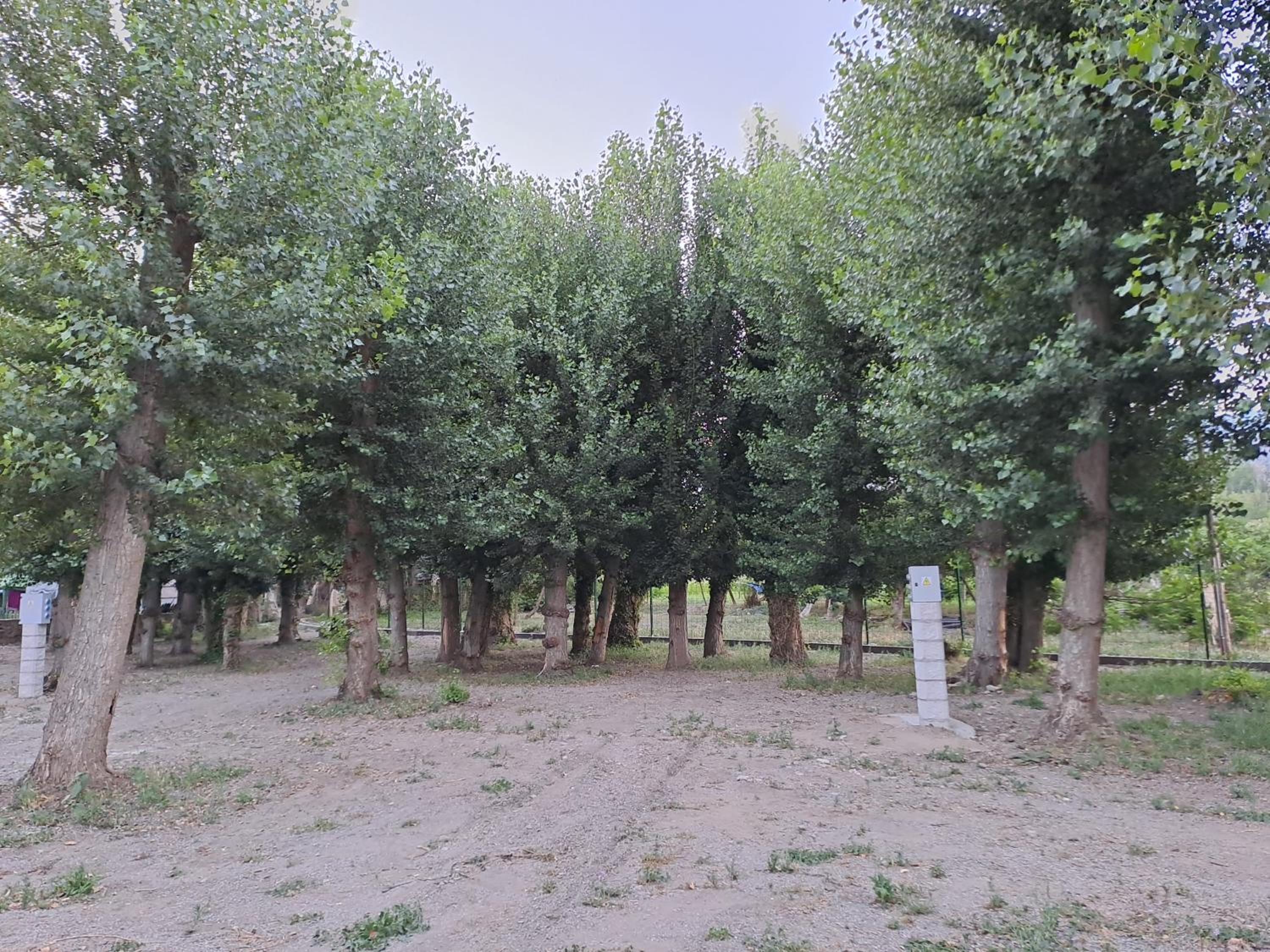 Camping Valle del Andarax