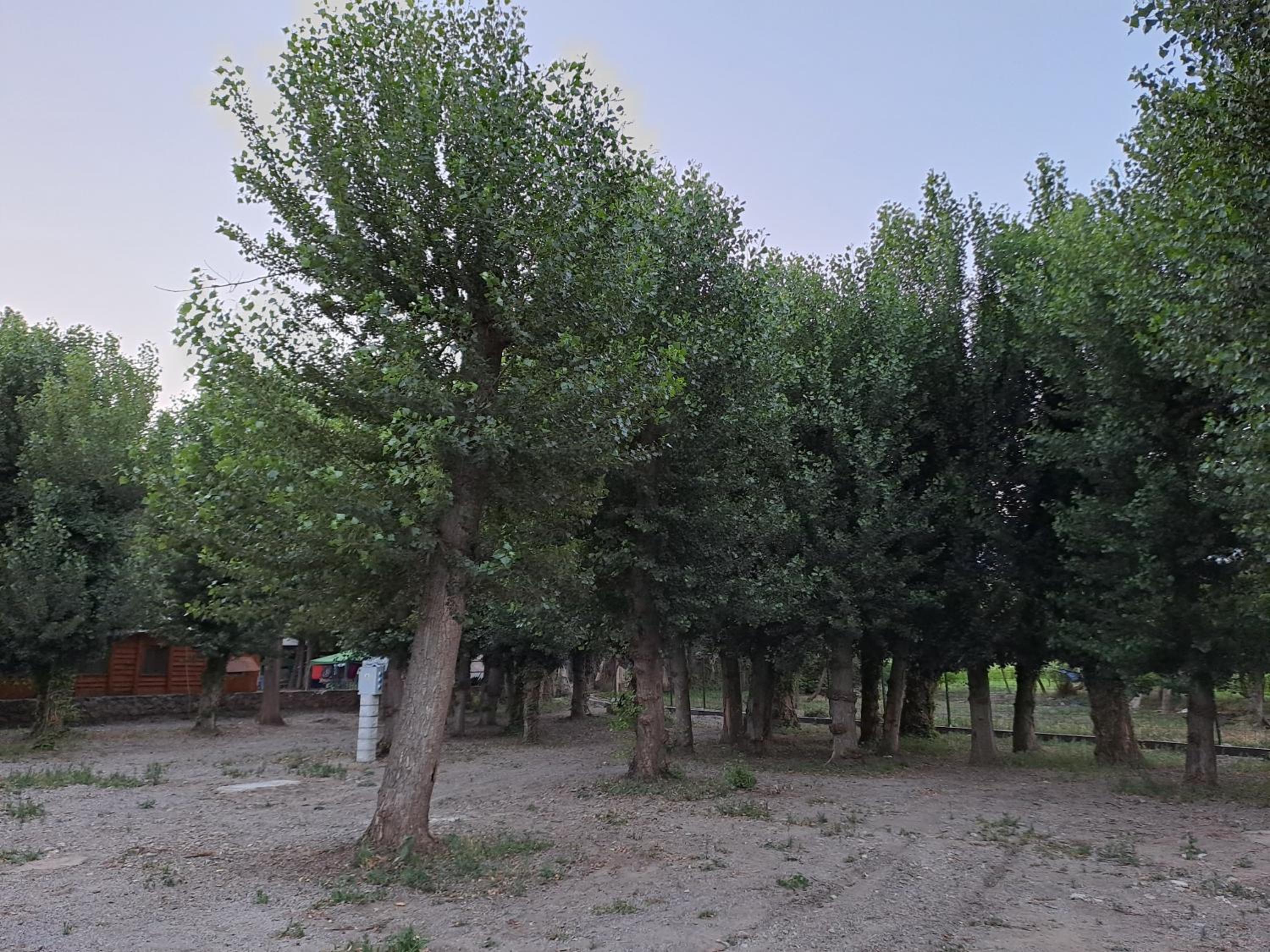 Camping Valle del Andarax