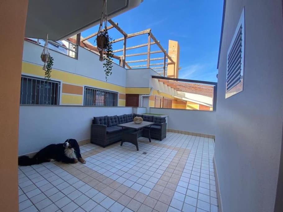 Residenza Brancadoria