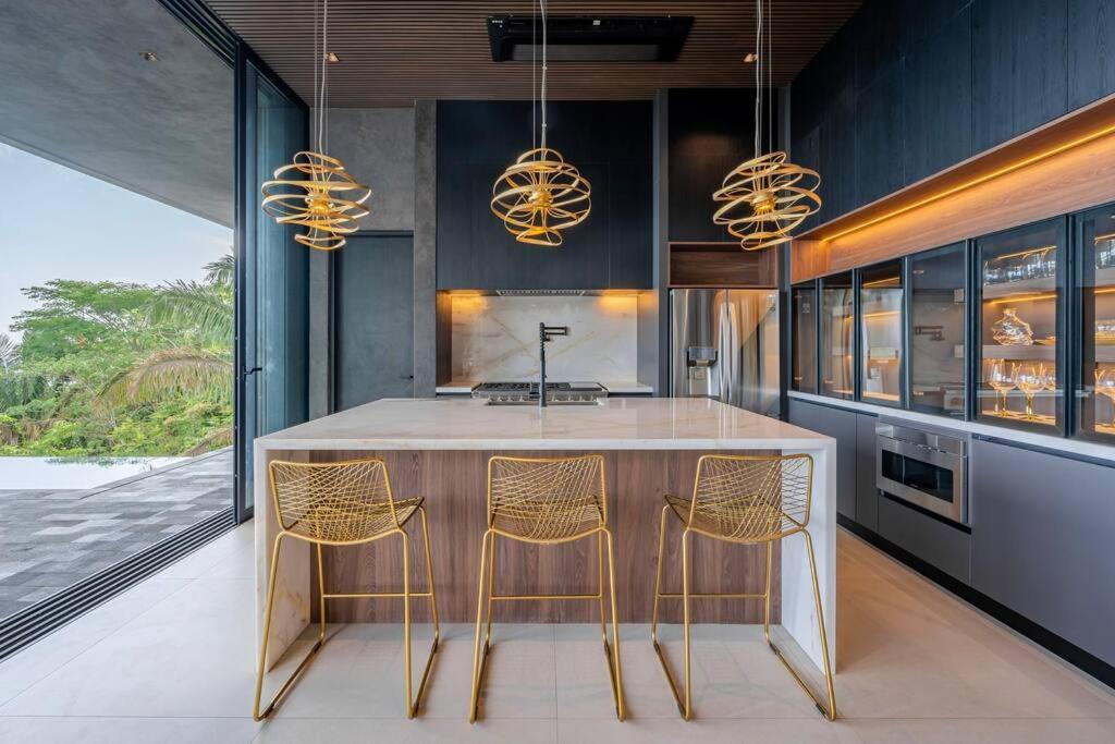 Casa Gaia - New Luxury Oceanview Mansion
