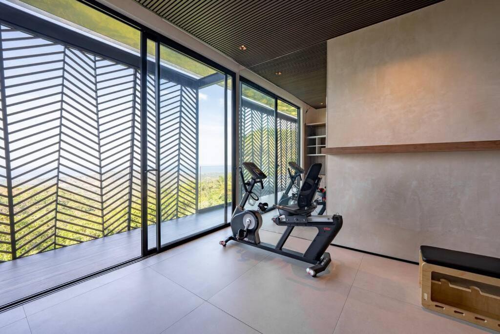Casa Gaia - New Luxury Oceanview Mansion