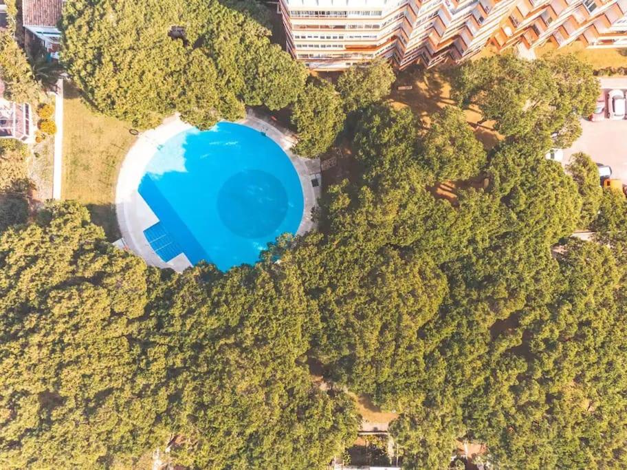 Calahonda Beach Brand new studio oceanfront