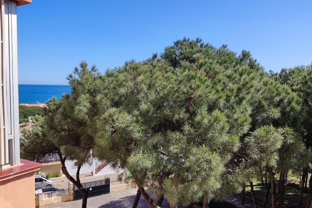 Calahonda Beach Brand new studio oceanfront