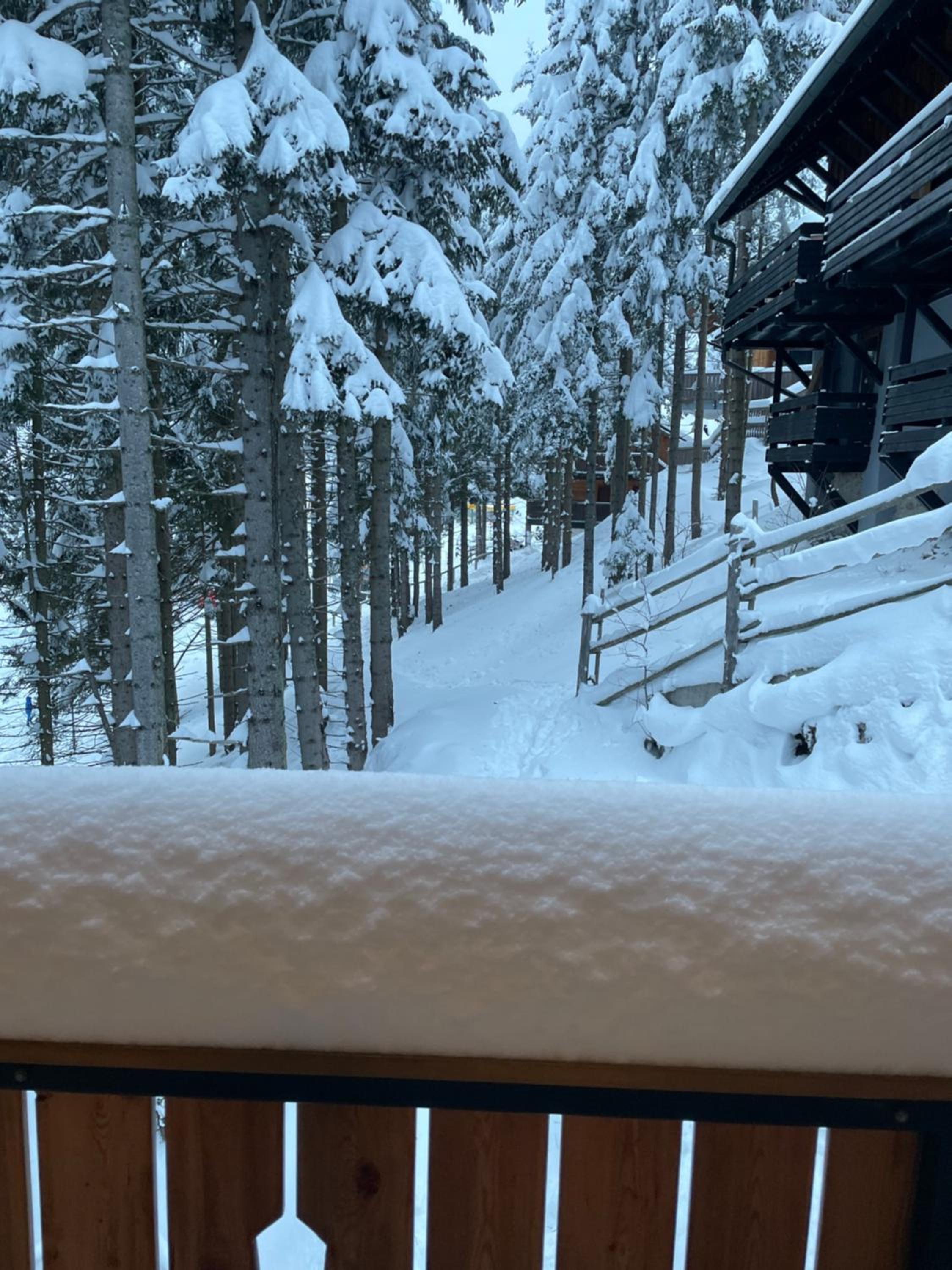 Apartma Med smrekami Golte