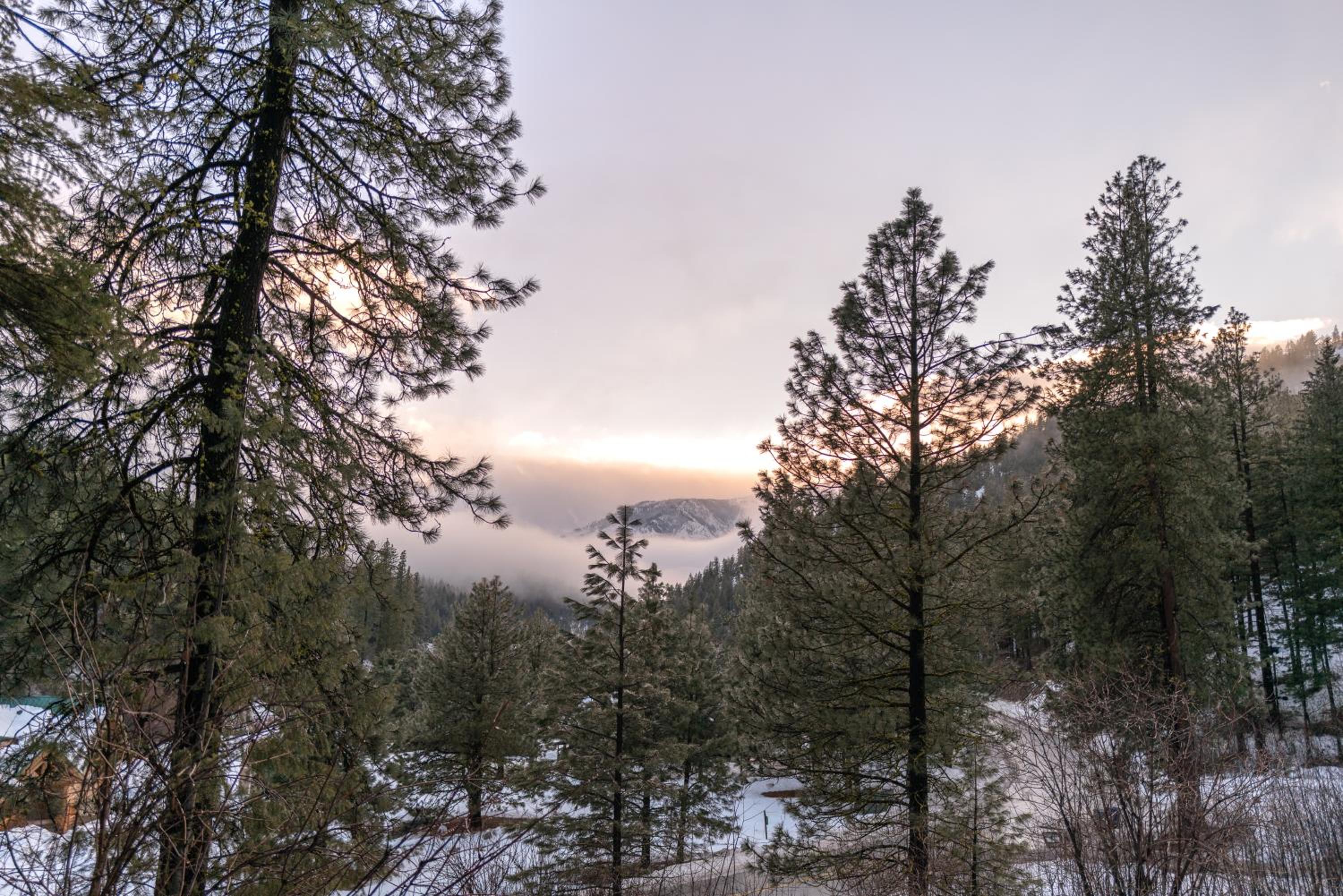 Leavenworth Mountain View Cabin Pet Friendly view 4