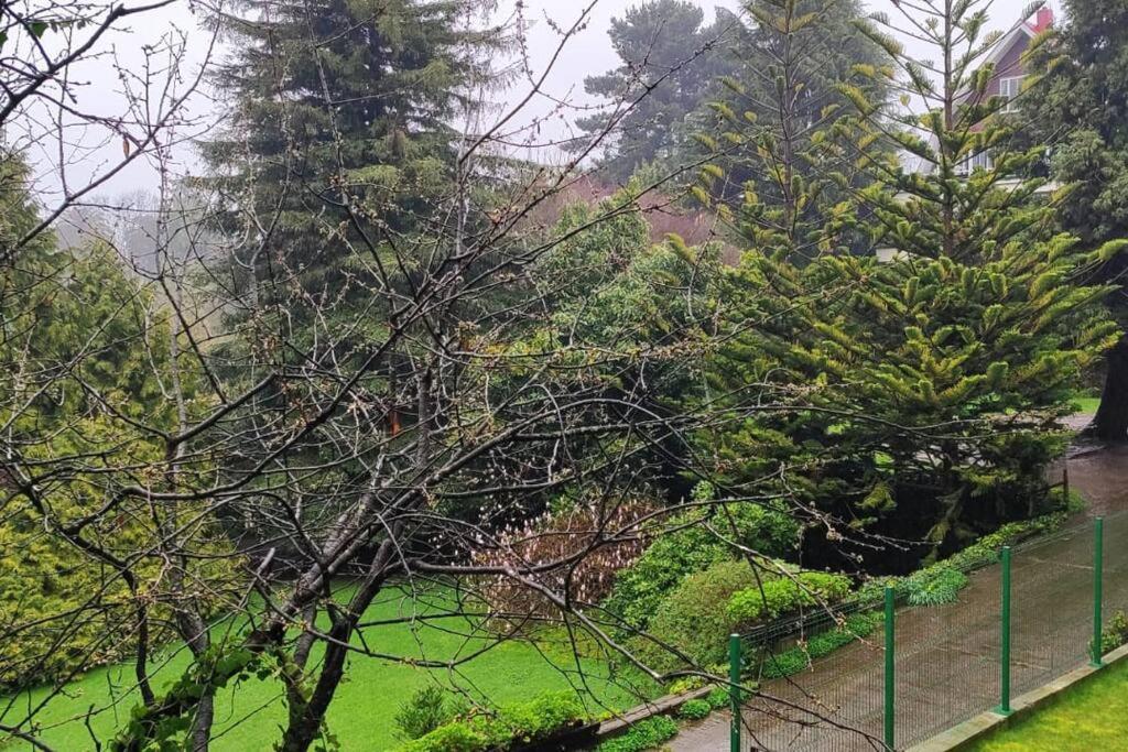 Apartamento Greta Río CalleCalle