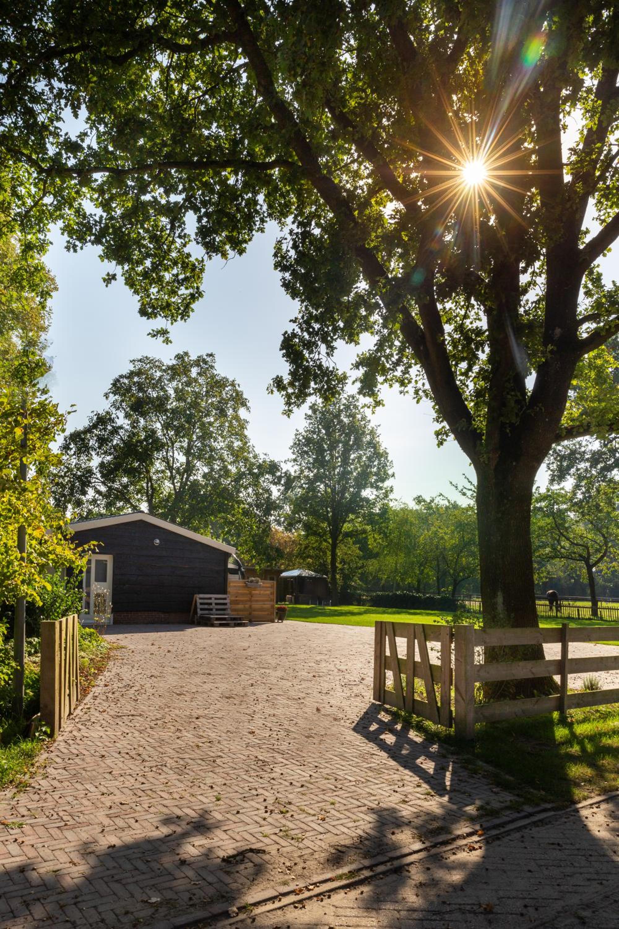 Logies-Spier - Property Image 12