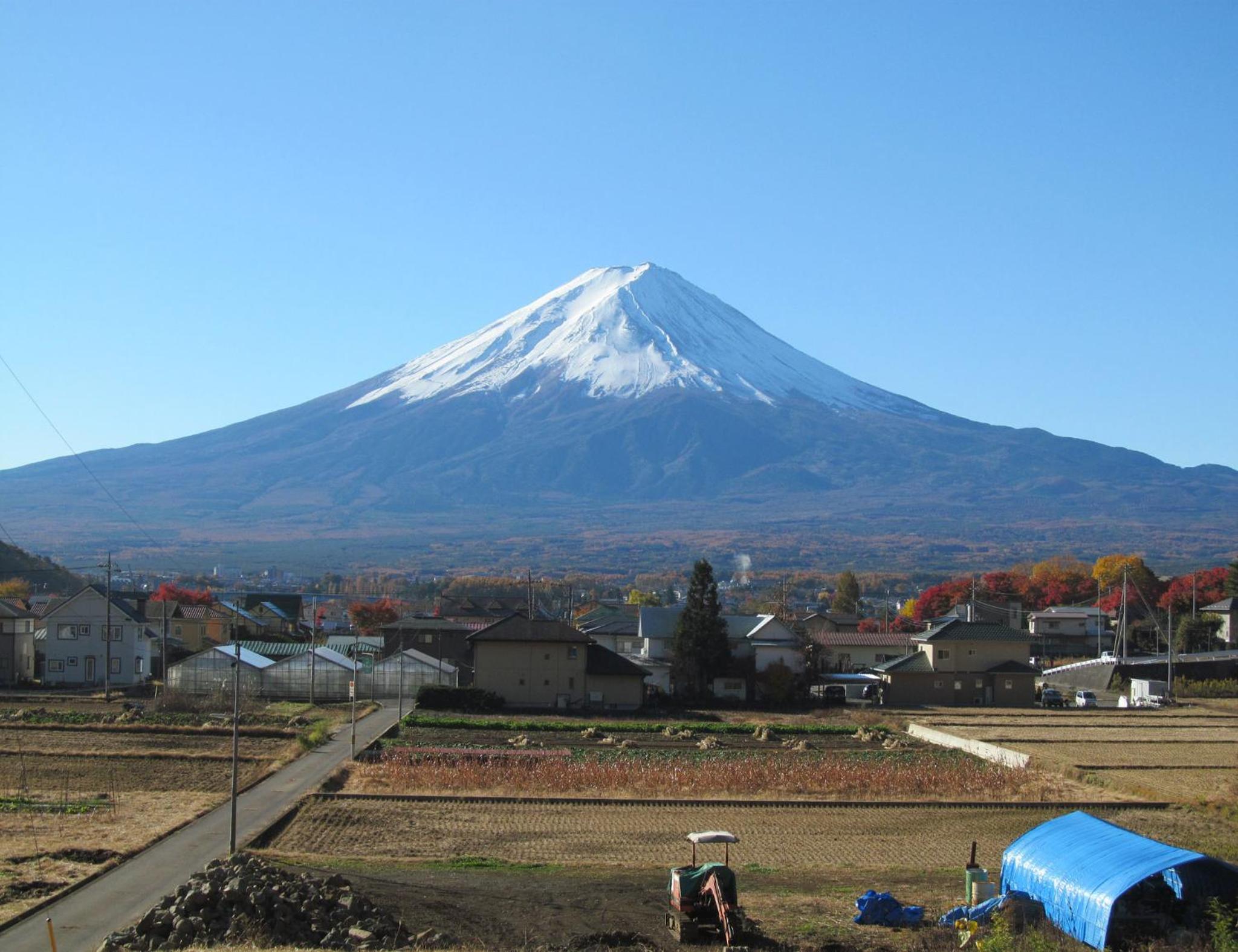 Photo 47