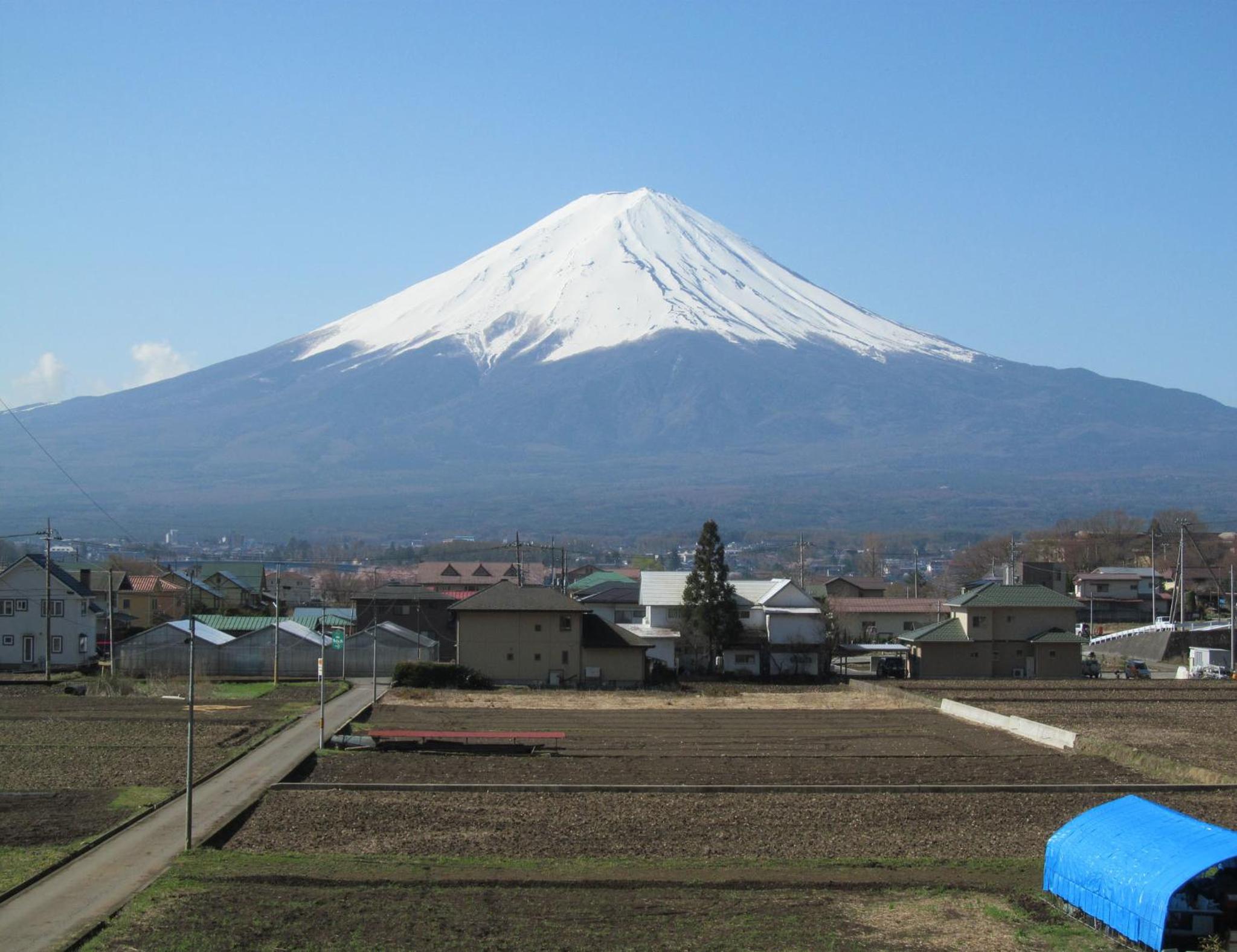 Photo 50