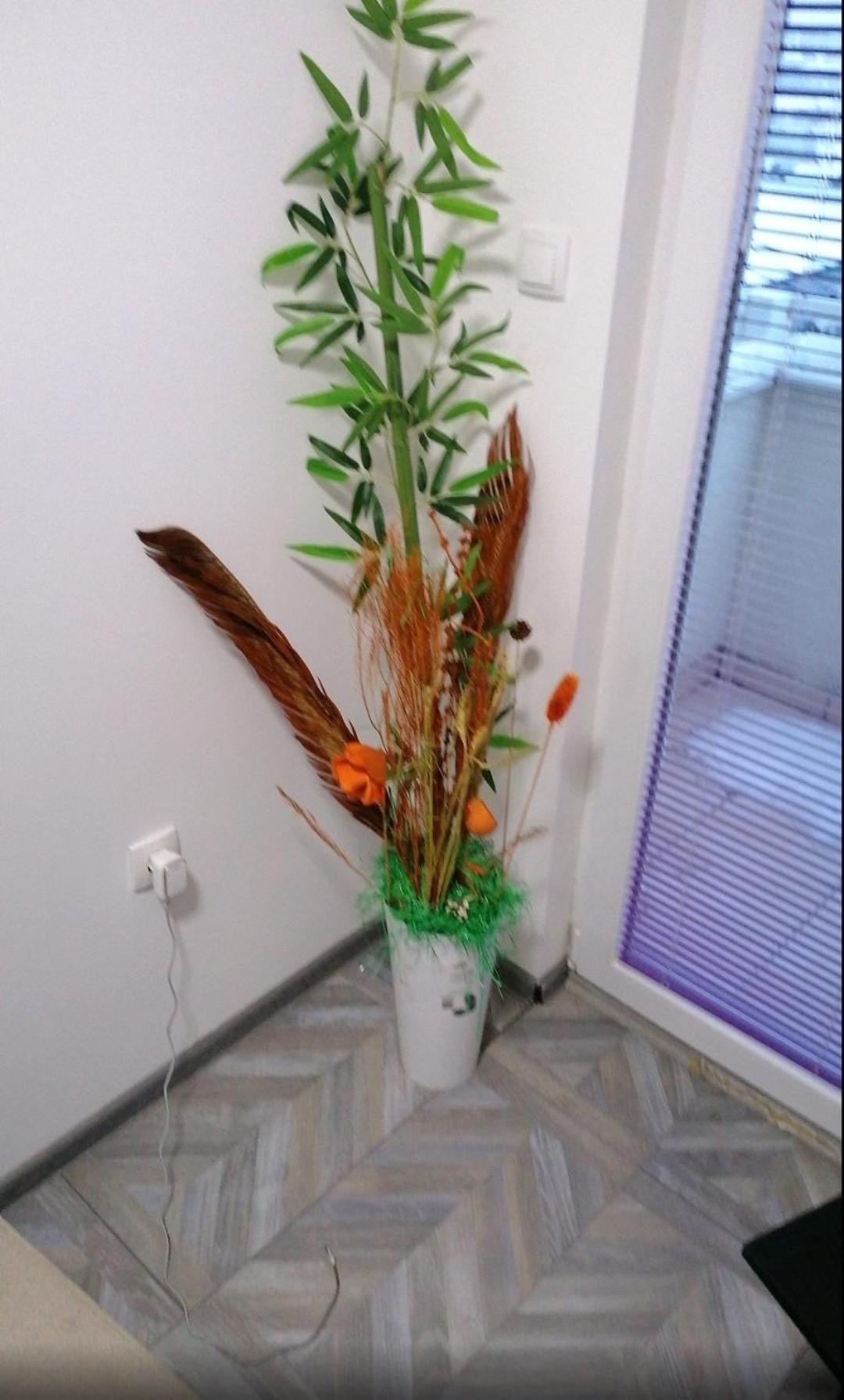 YOUR home view 5
