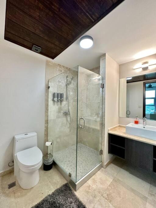 Merendon Heights Luxury Condo