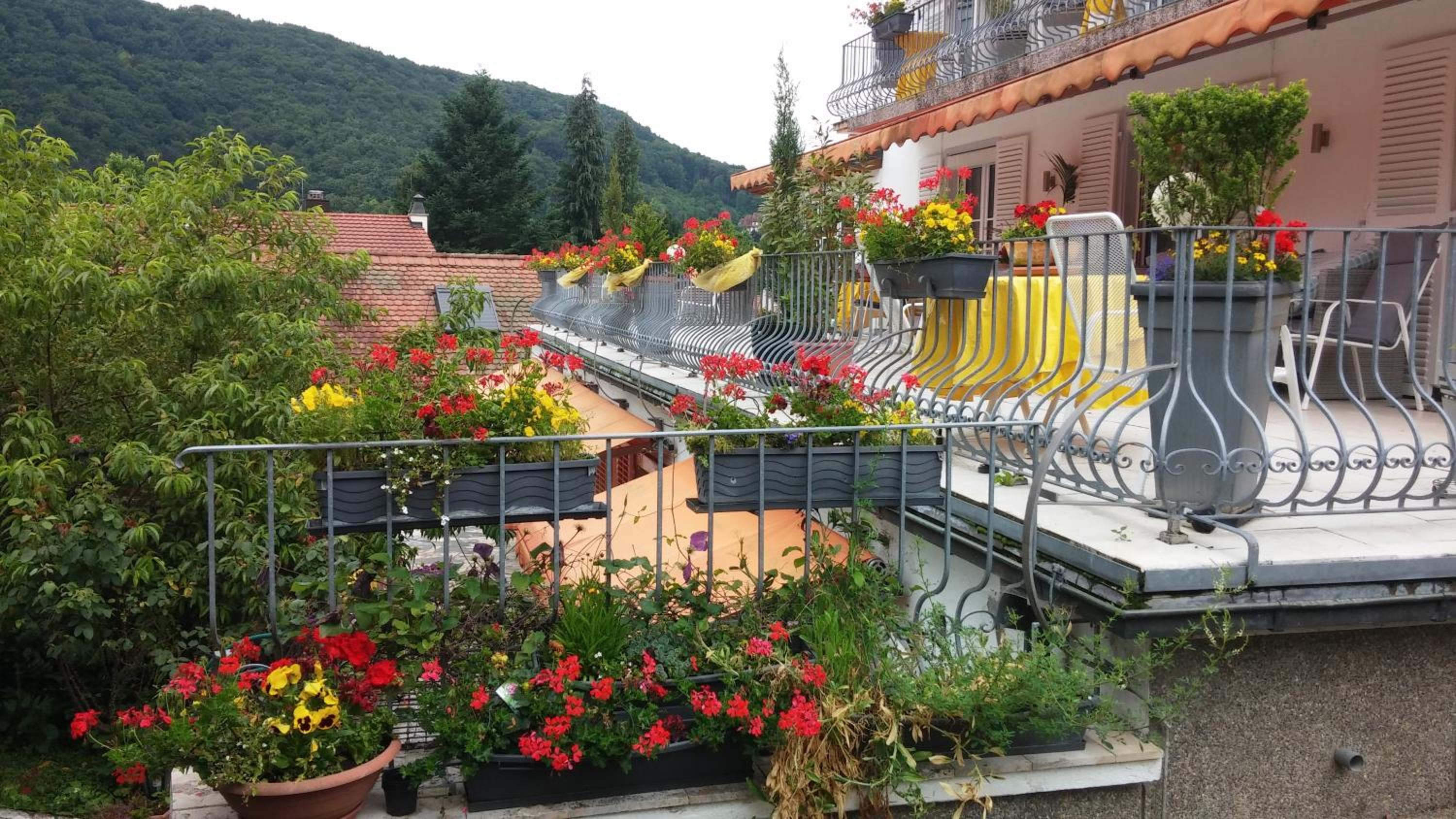 Haus Marija M
