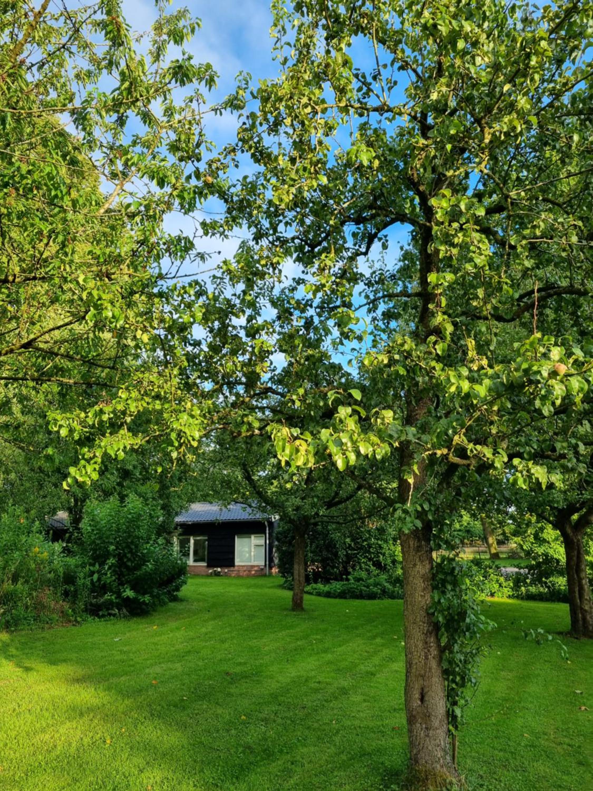 Logies-Spier - Property Image 21