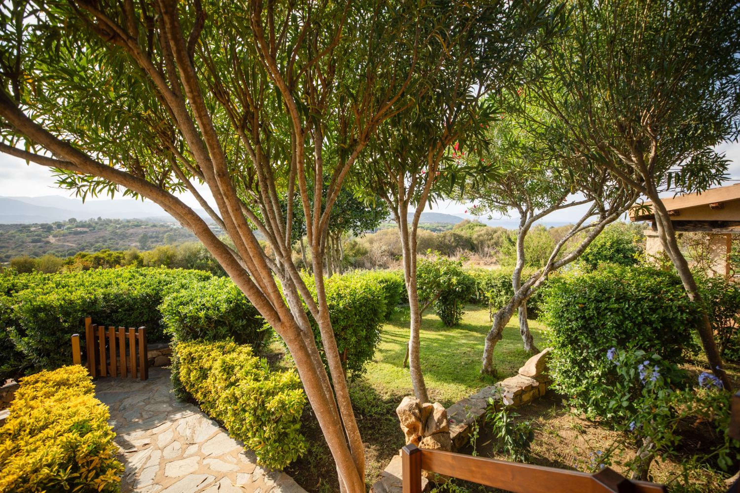 VILLETTA ELENA SAN TEODORO CODA CAVALLO view 3