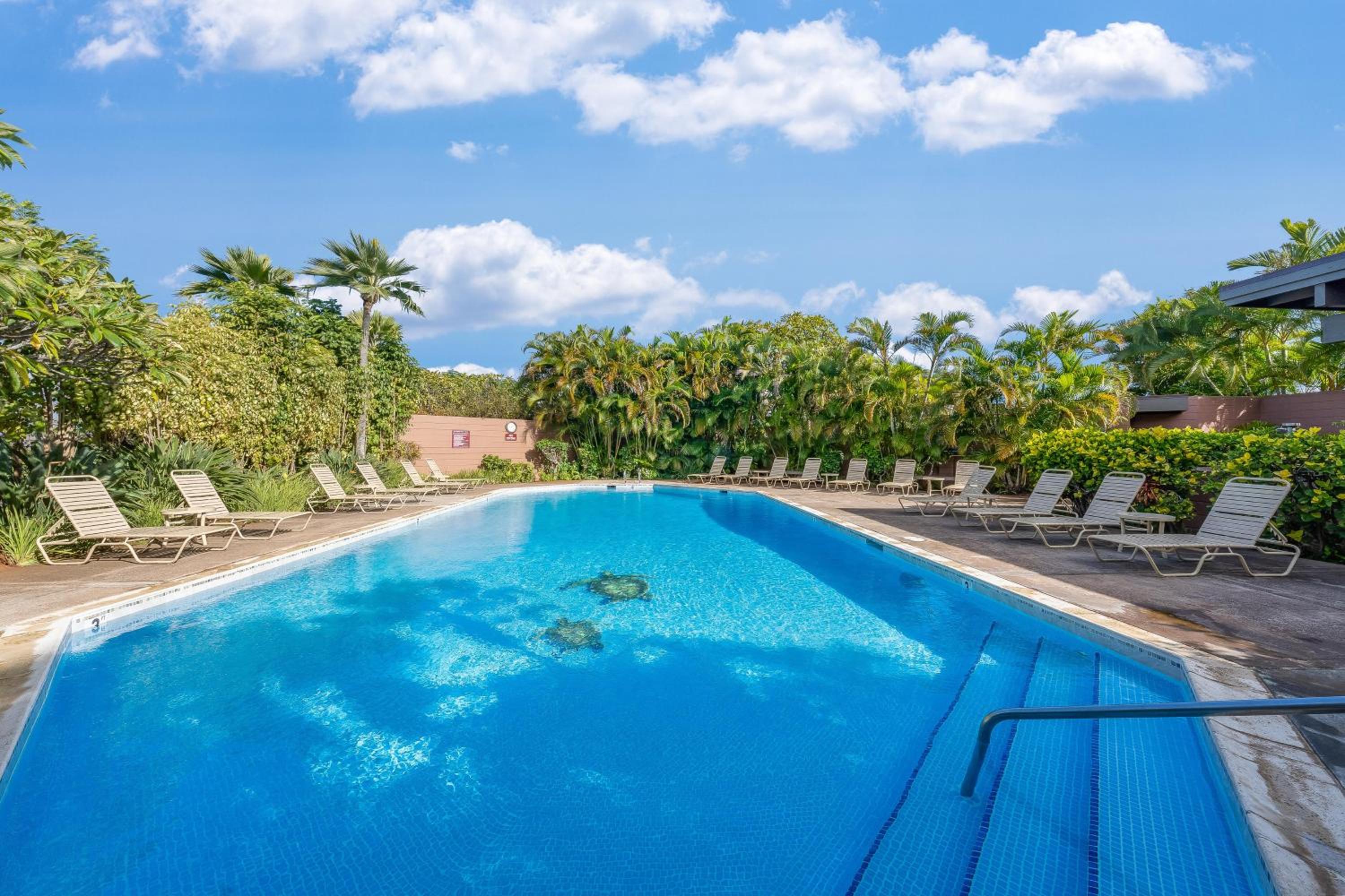 Kapalua Ridge Villas 2612 · KRV 2612 Renovated 1BD Ocean Views W - Image 3