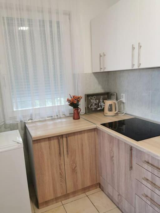 Apartman Paradiso BN