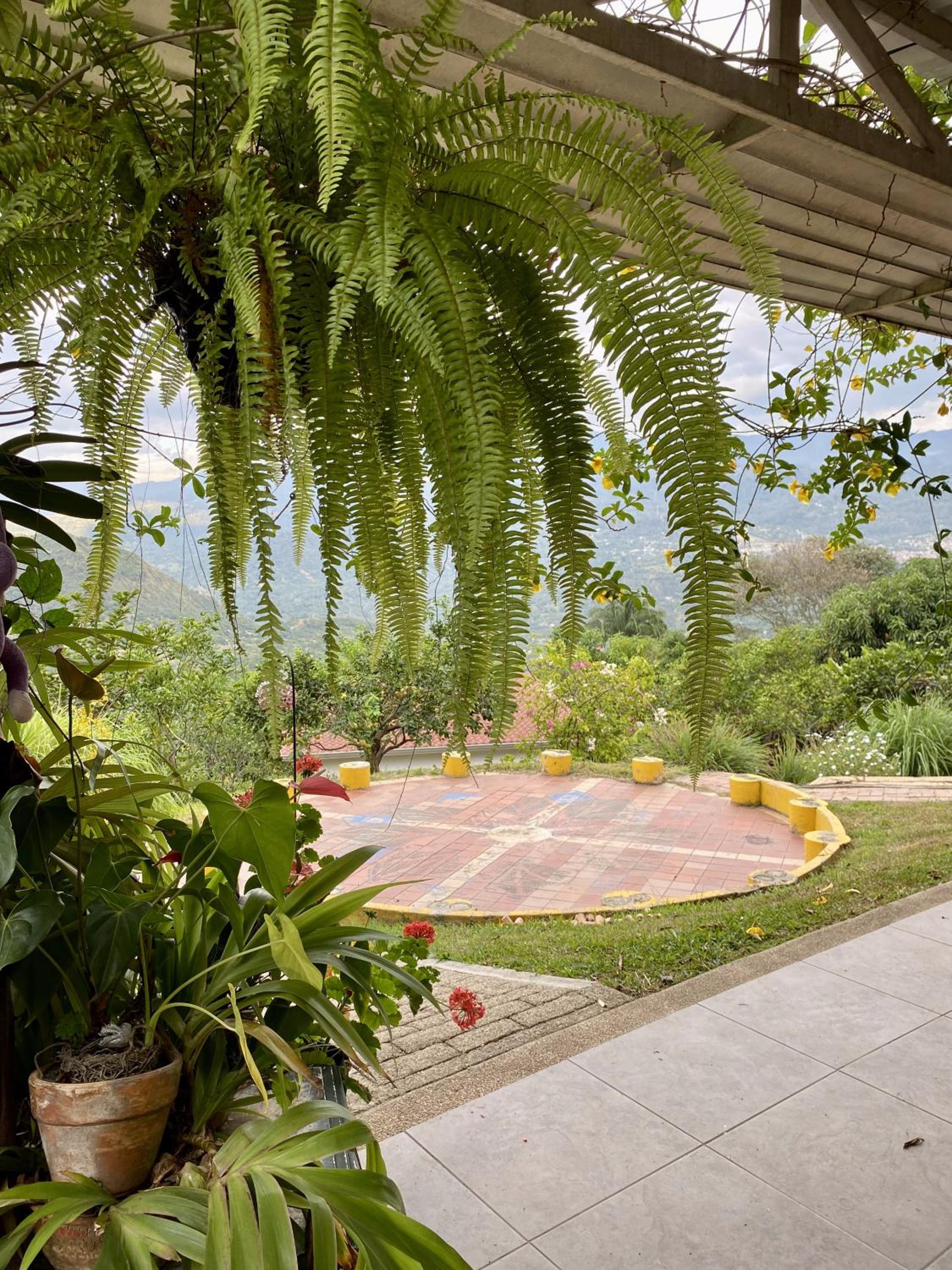 Cabañas Los Tulipanes