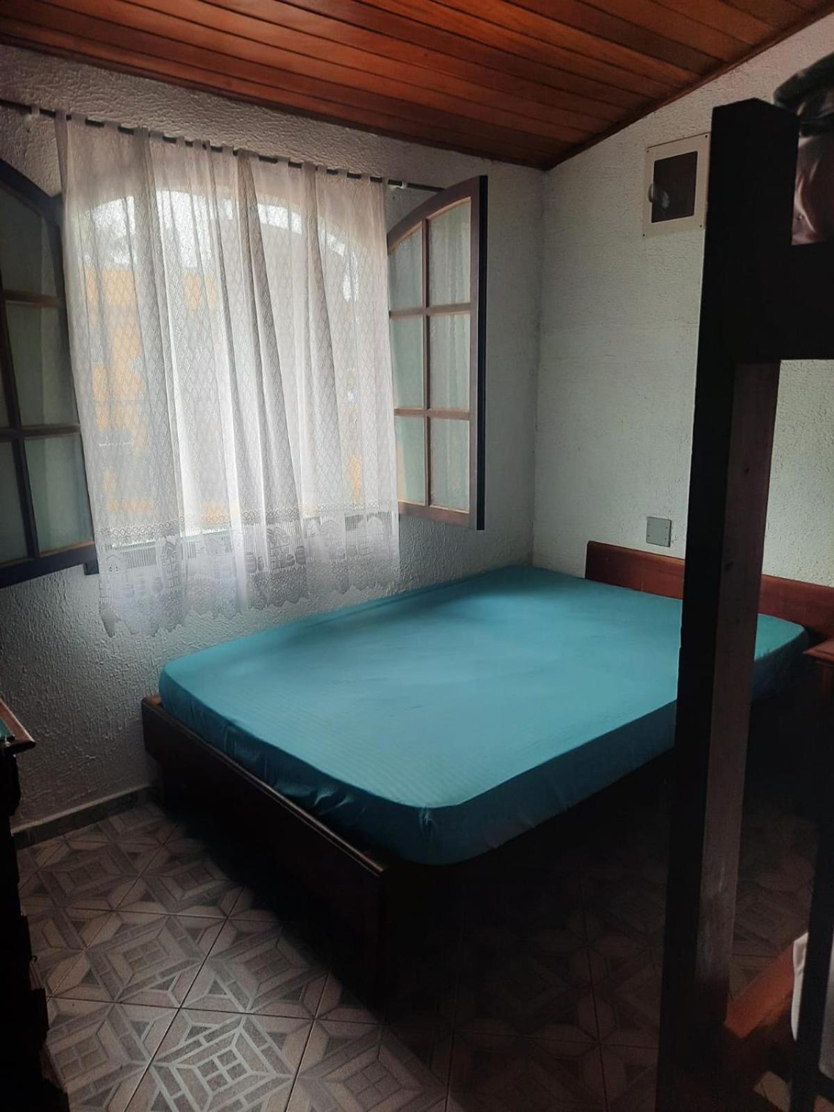 Estrela do mar 2