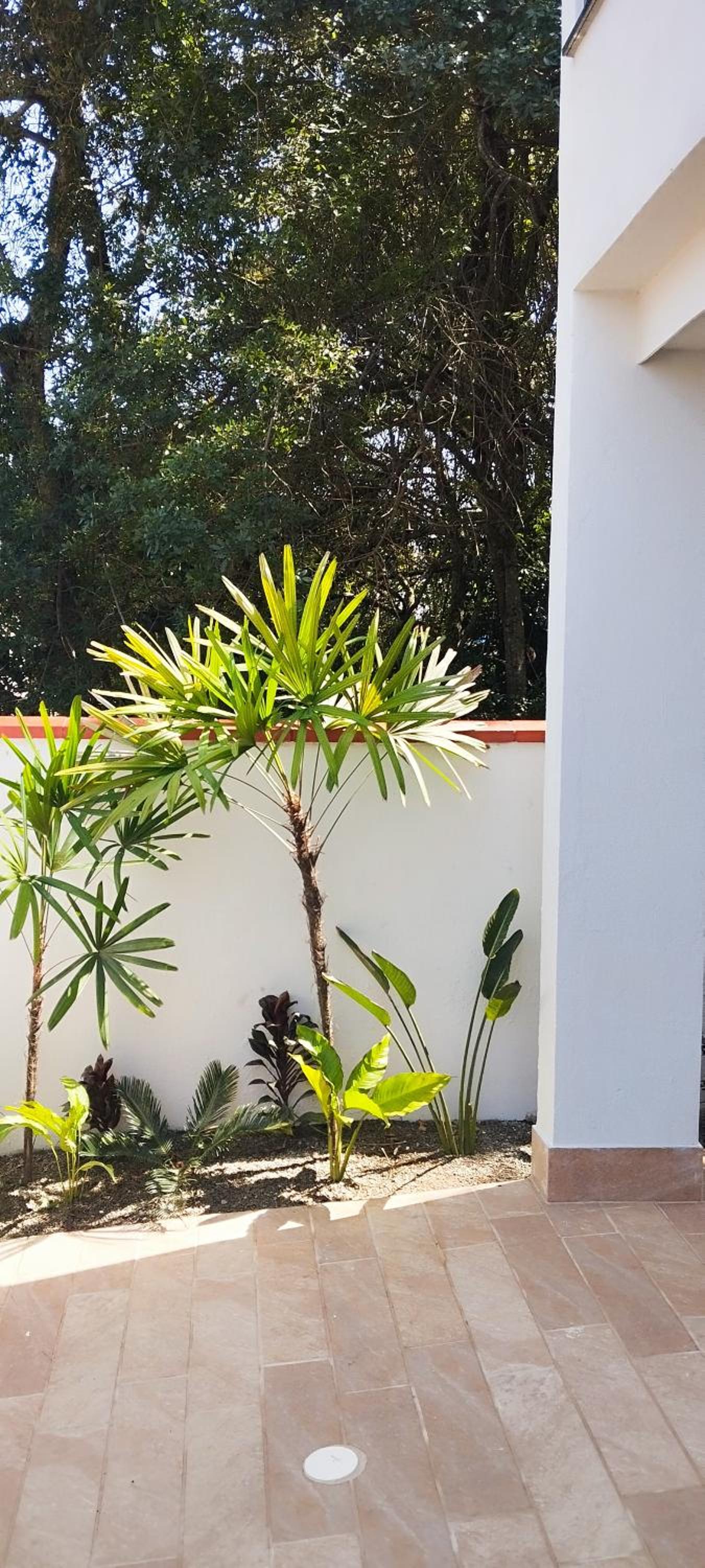 Pousada Estrela de Davi