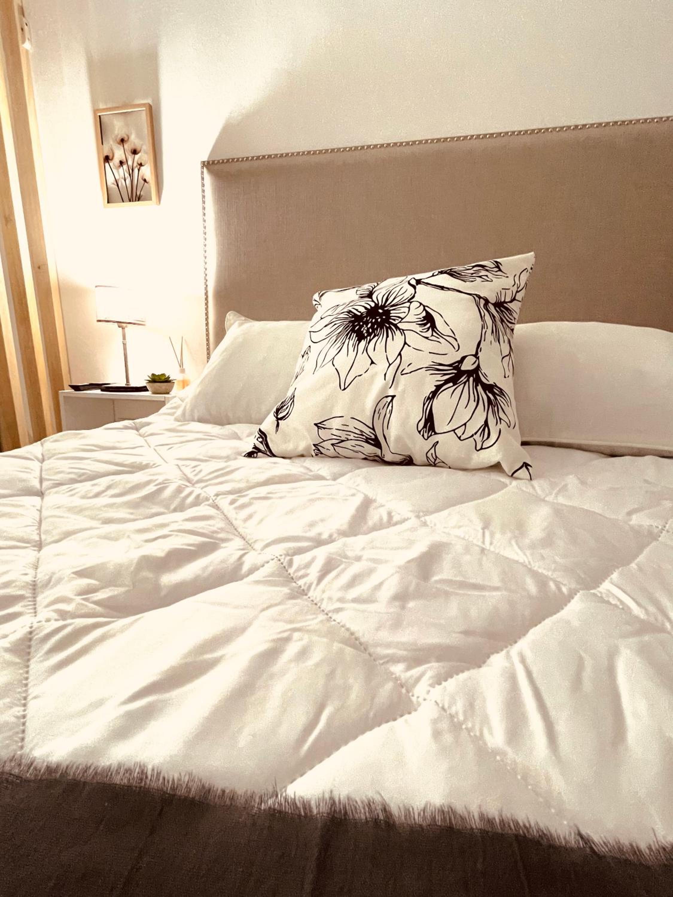 Suite Centro con COCHERA