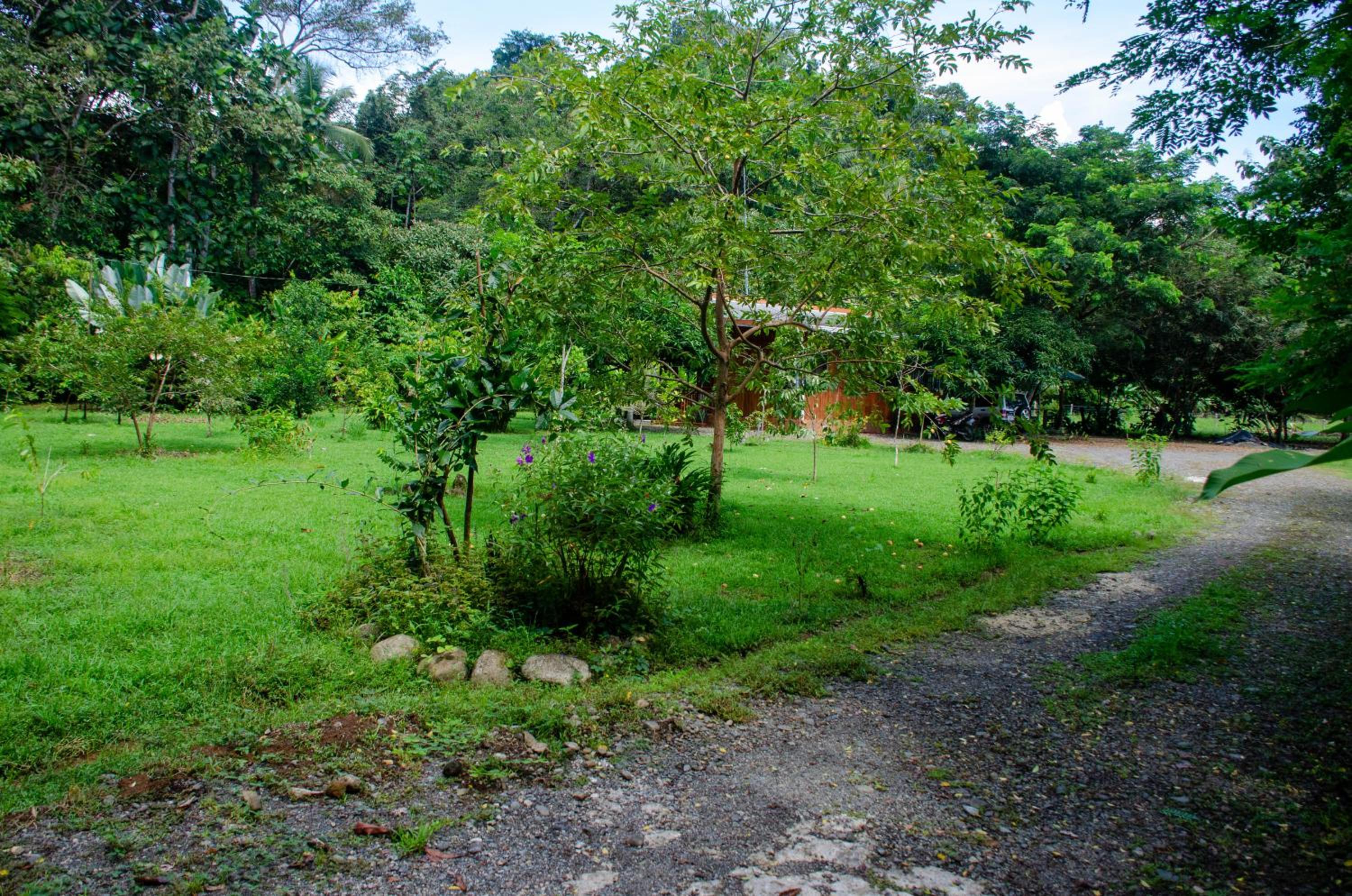 Natural Harmony Cabin