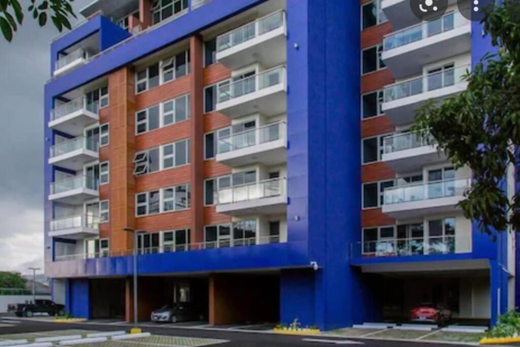Luxury Kingston Apt - Pool & free parking 20 south