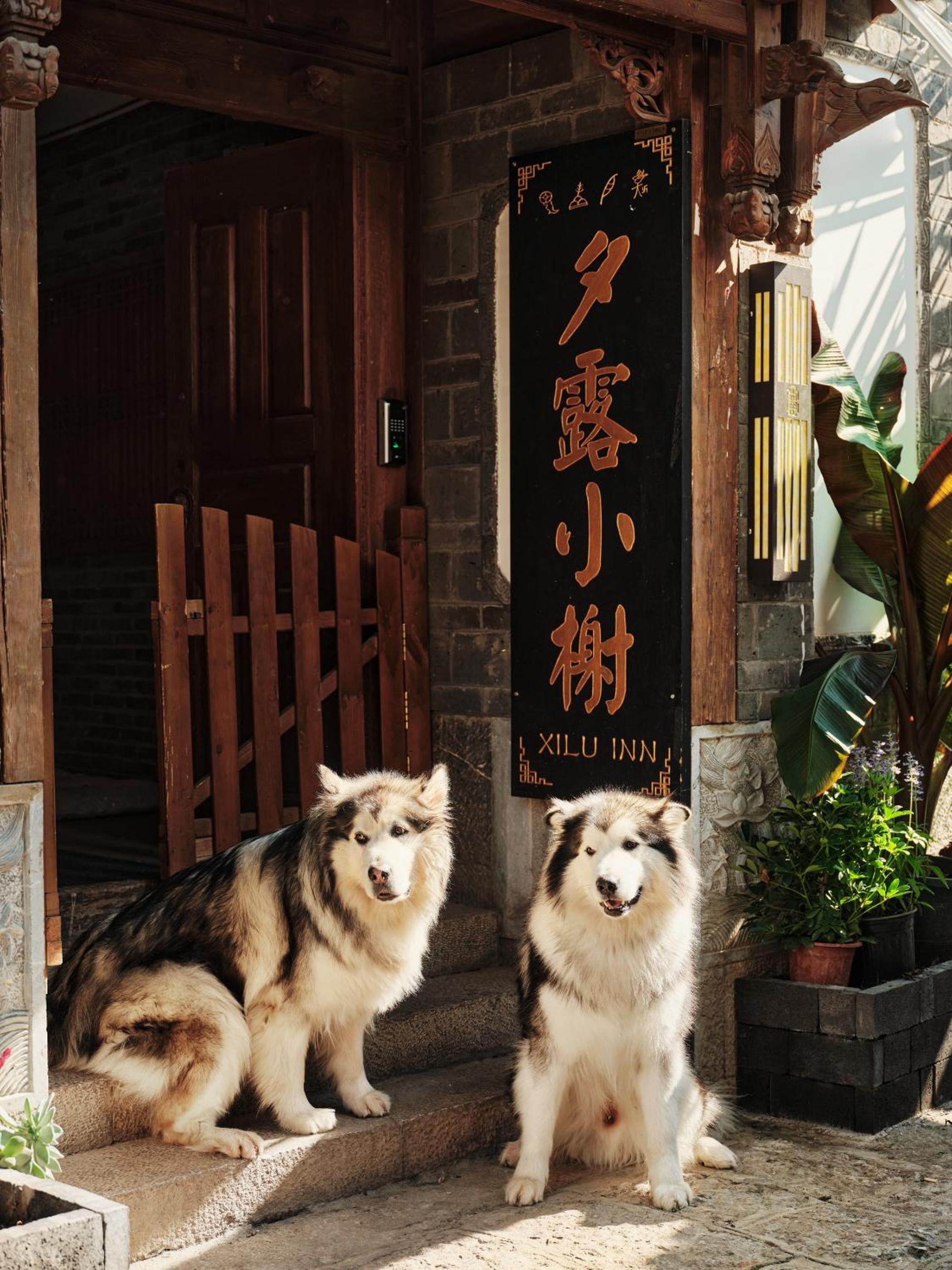 夕露小榭古城南门店 Xilu Xiaoxie Inn Old Town Lijiang