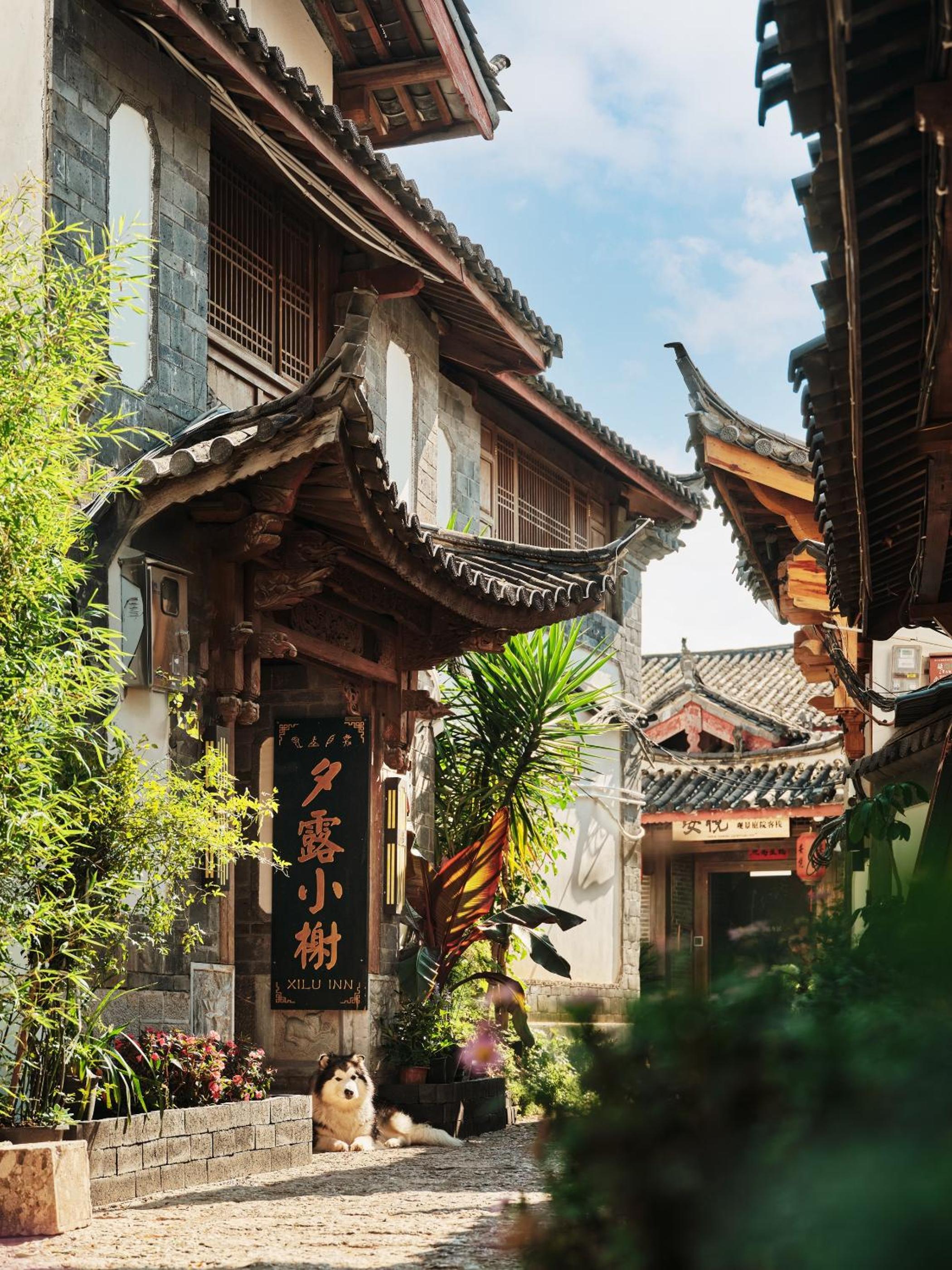 夕露小榭古城南门店 Xilu Xiaoxie Inn Old Town Lijiang