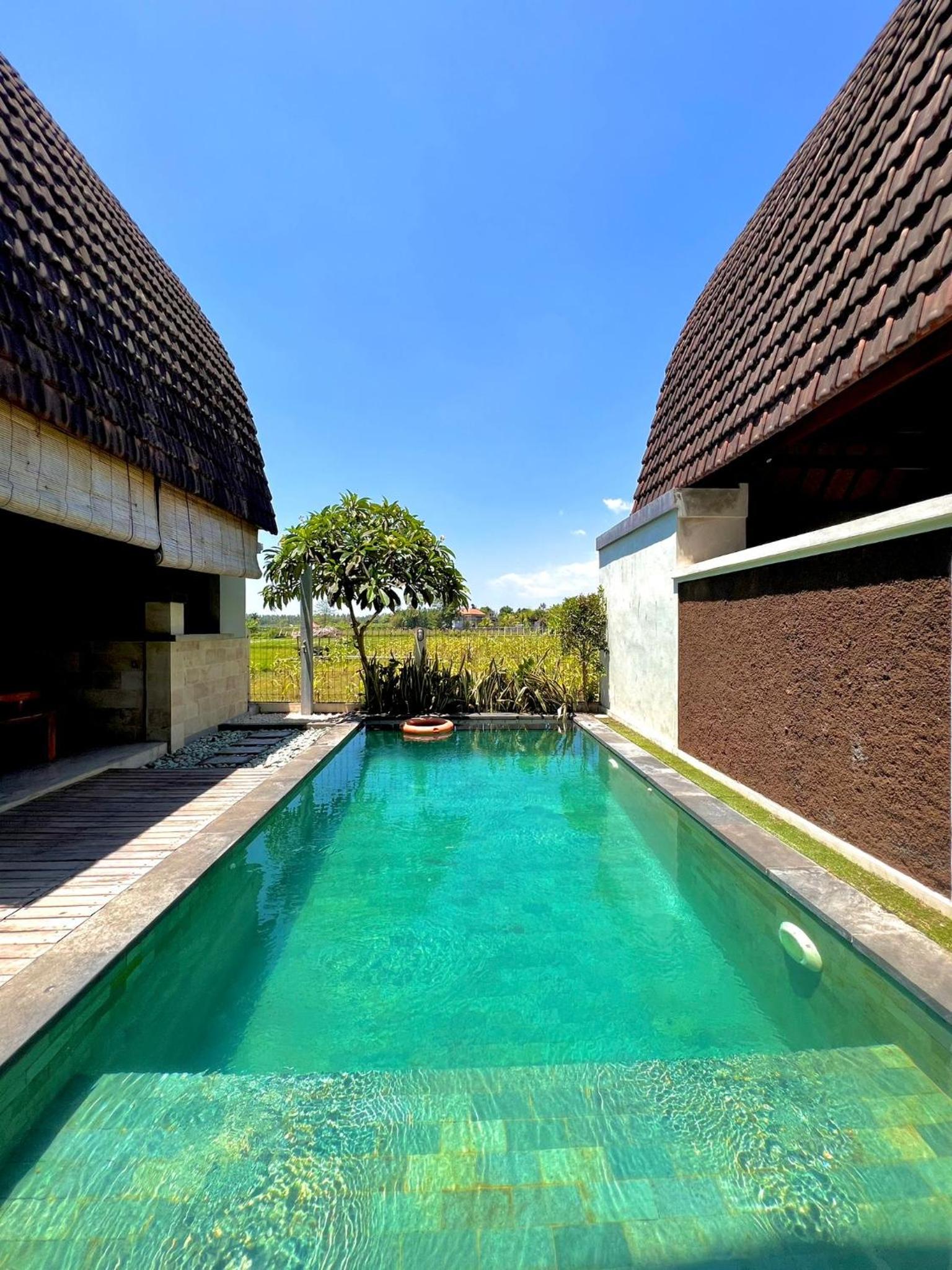Bhumi Lovina Residence & Villa view 5