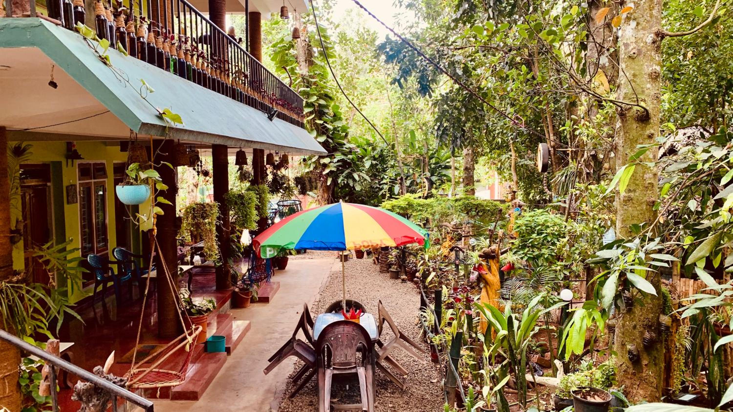 Jungleview Home Stay view 4