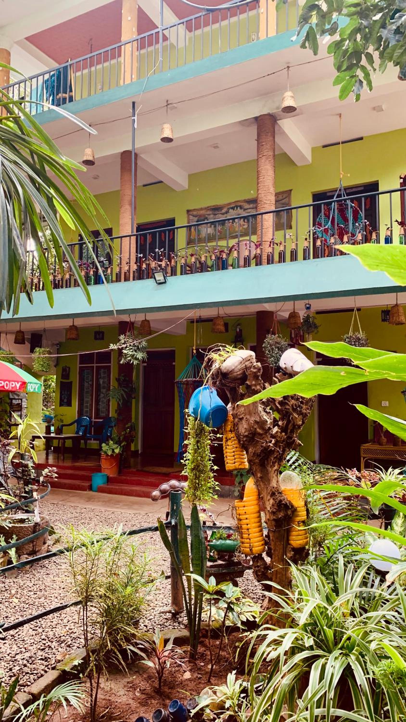 Jungleview Home Stay view 3