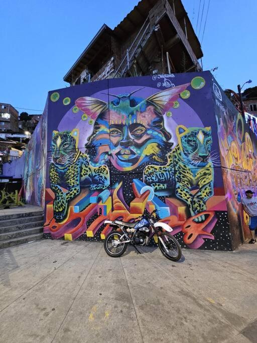 Color House La 13